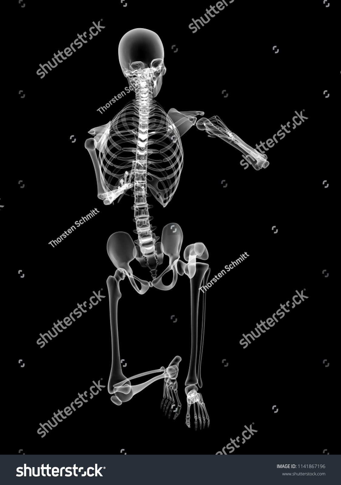 X Ray Human Body 3d Render 스톡 일러스트 1141867196 Shutterstock