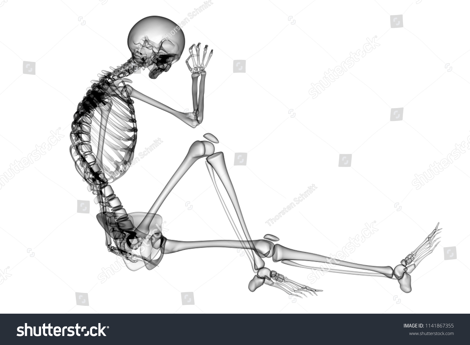 X Ray Human Body D Render Stock Illustration Shutterstock