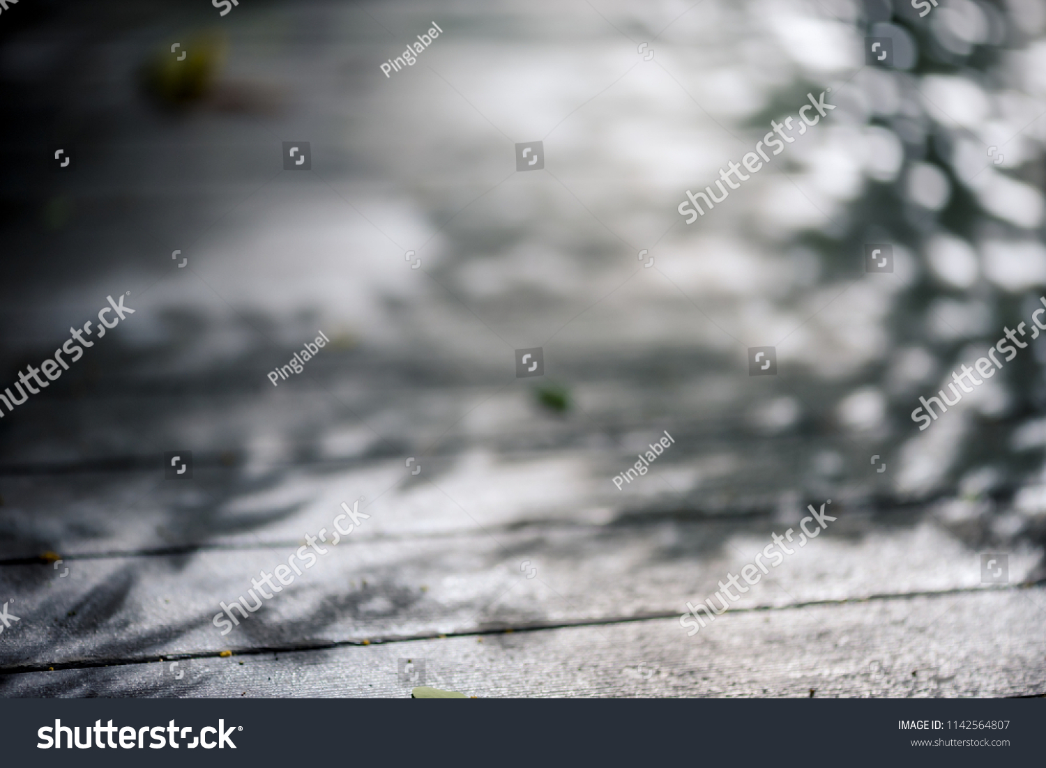 Abstract Nature Black White Background Beautiful Stock Photo 1142564807