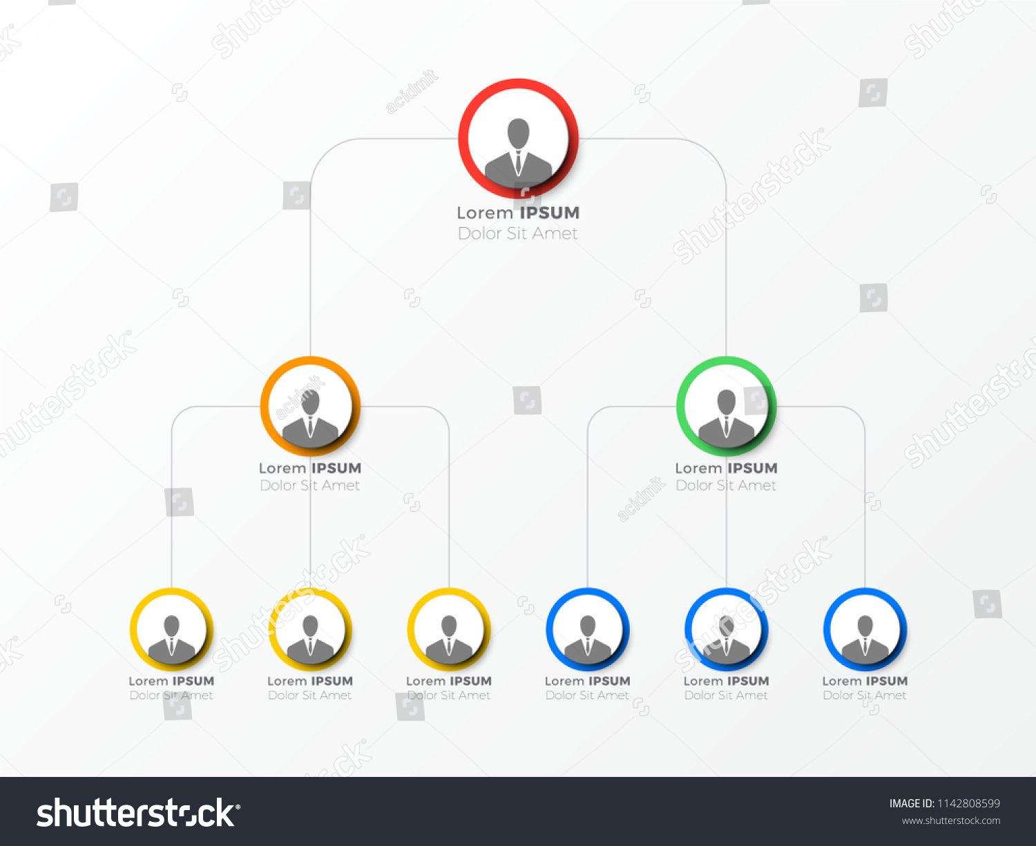 Organizational Structure Company Business Hierarchy Infographic Stock ...