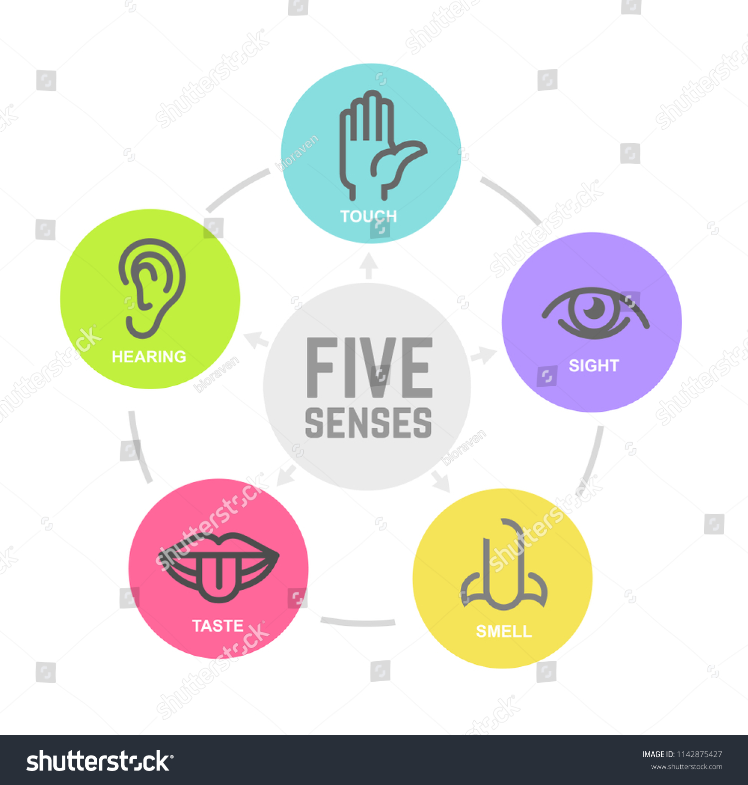 Icon Set Five Human Senses Vector Stock Vector (Royalty Free ...