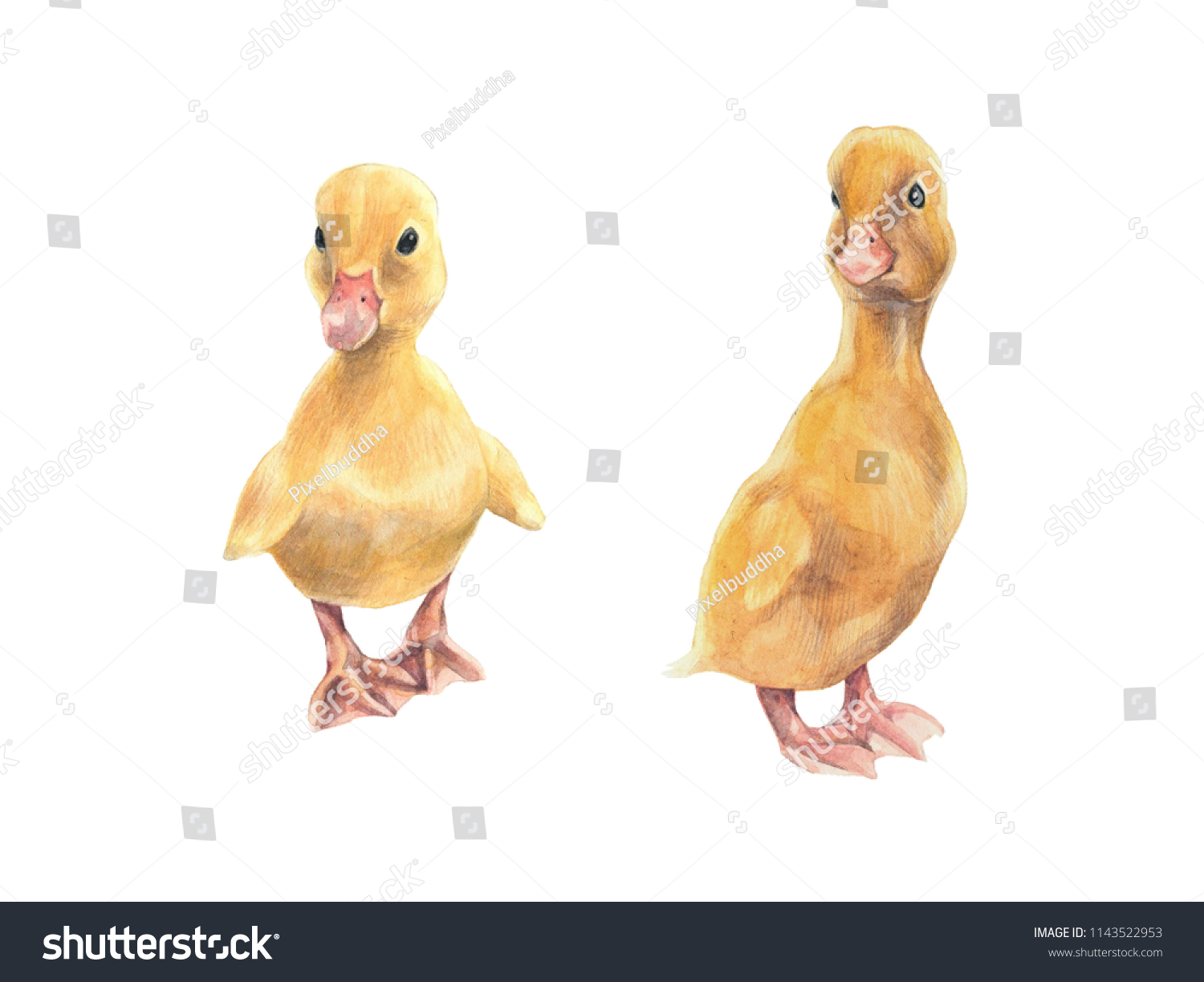 Cute Yellow Watercolor Duckling Lovely Baby Stock Illustration ...