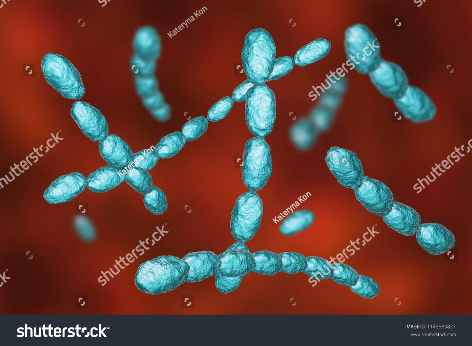 Haemophilus Ducreyi Bacteria 3d Illustration Gramnegative Stock ...