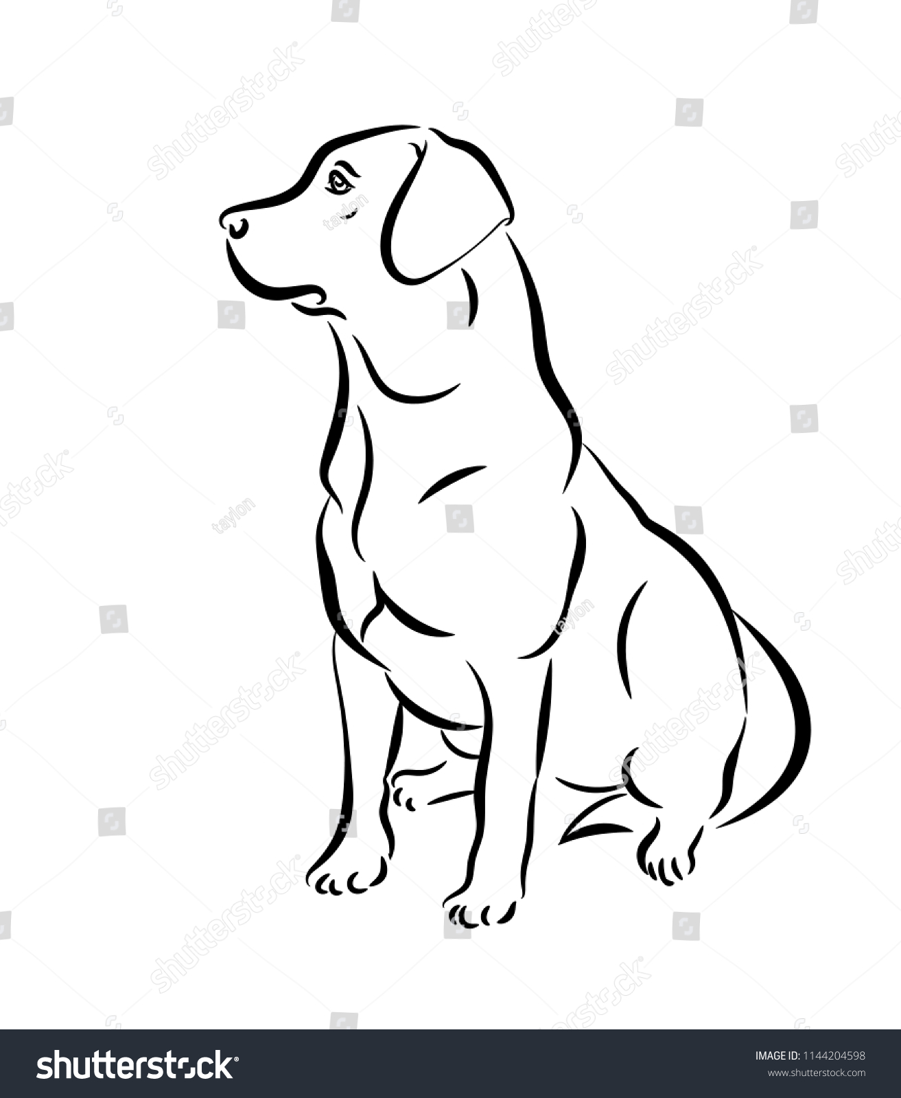 Labrador Vector Illustration Black White Outline Stock Vector (Royalty ...