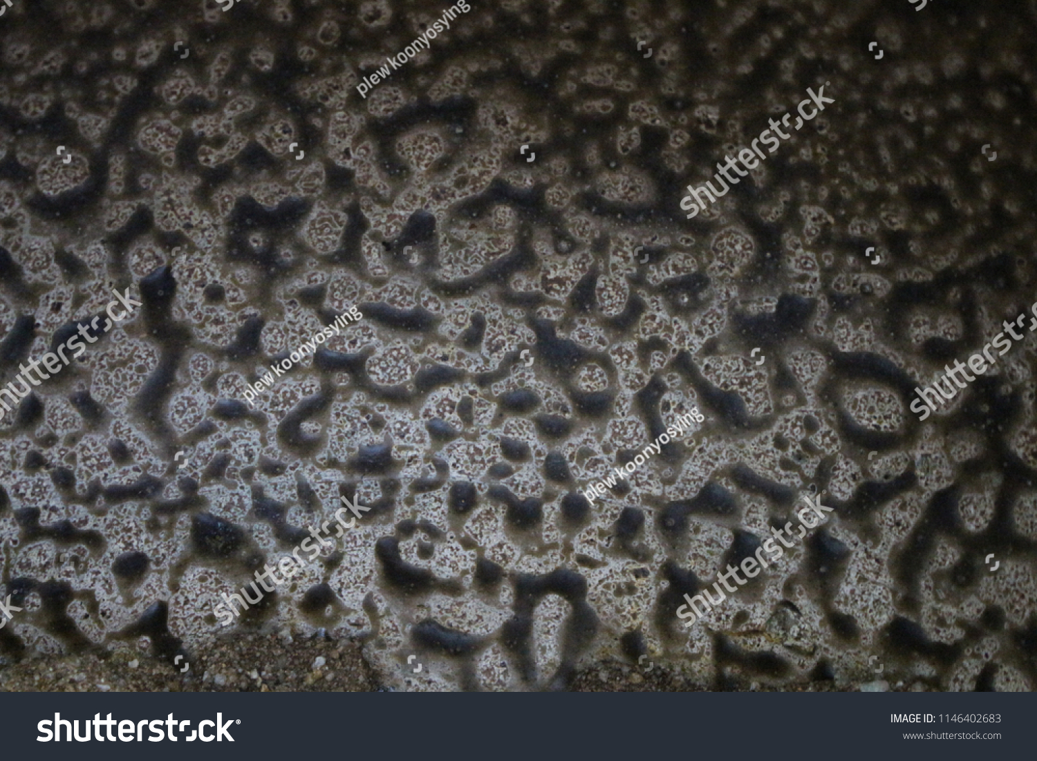 Surface Roughness Cement Being Eroded Stock Photo 1146402683 