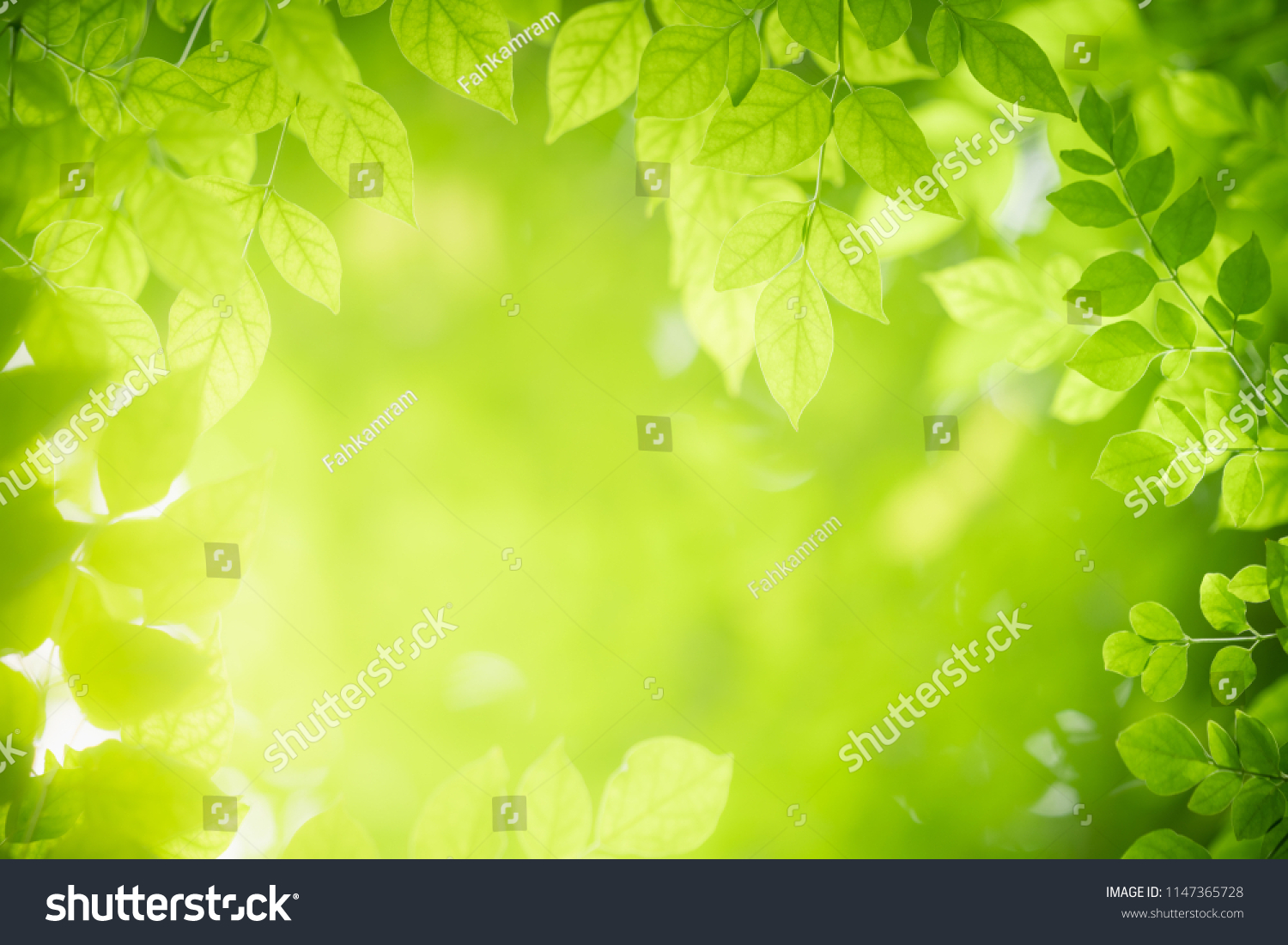 Green Leaf Nature Background Using Greenery Stock Photo 1147365728 ...