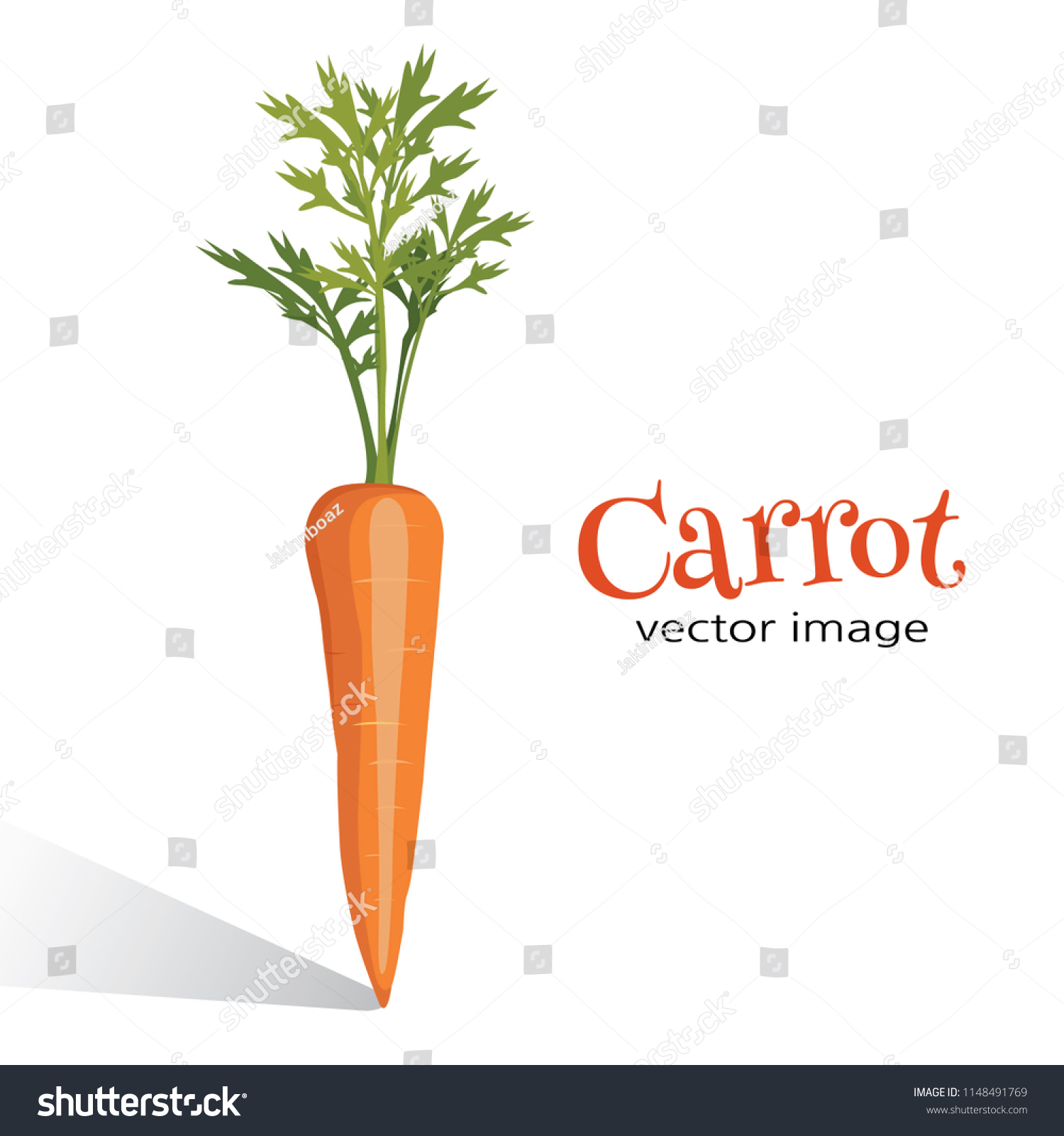 Carrot Vector Image Image Carrot Word Stock Vector (Royalty Free