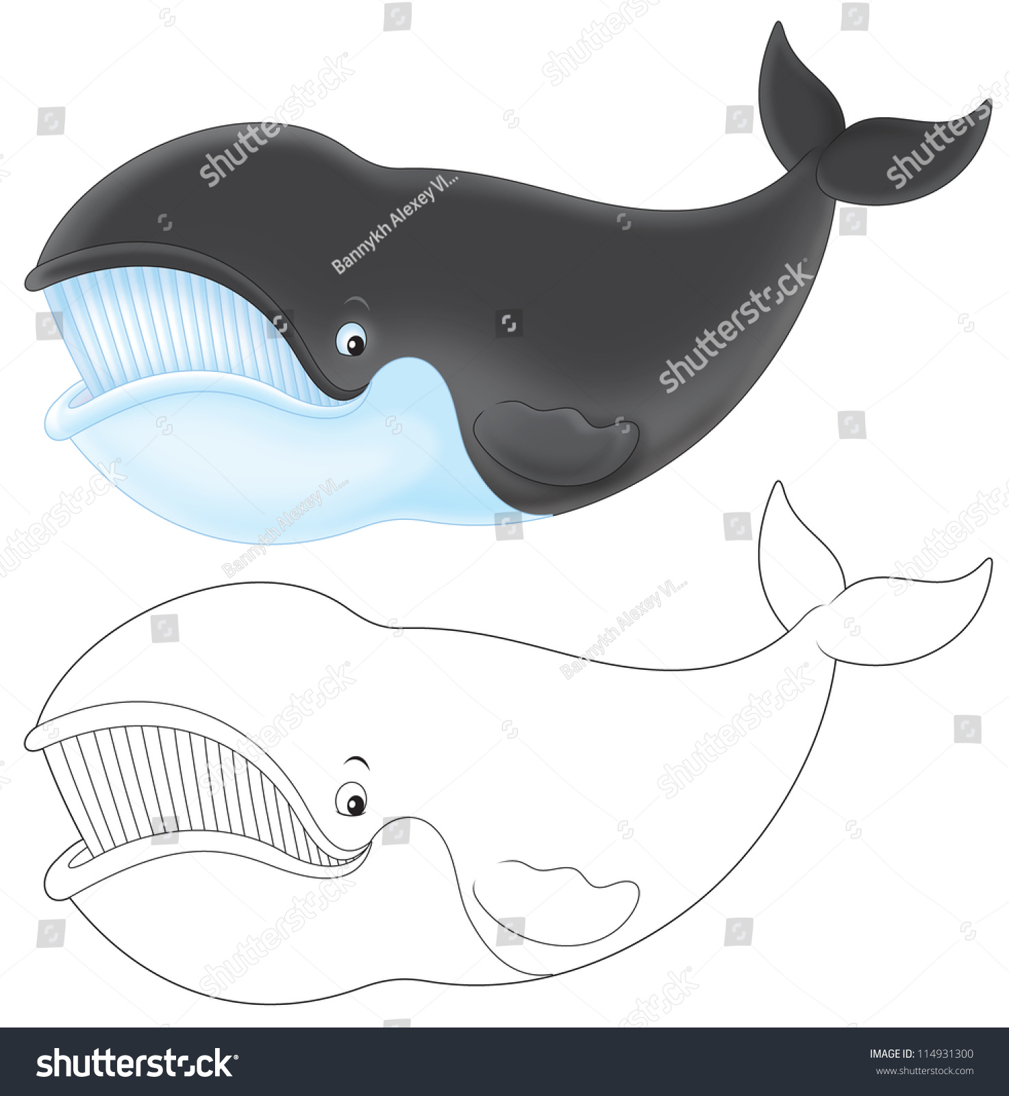Гренландский кит рисунок