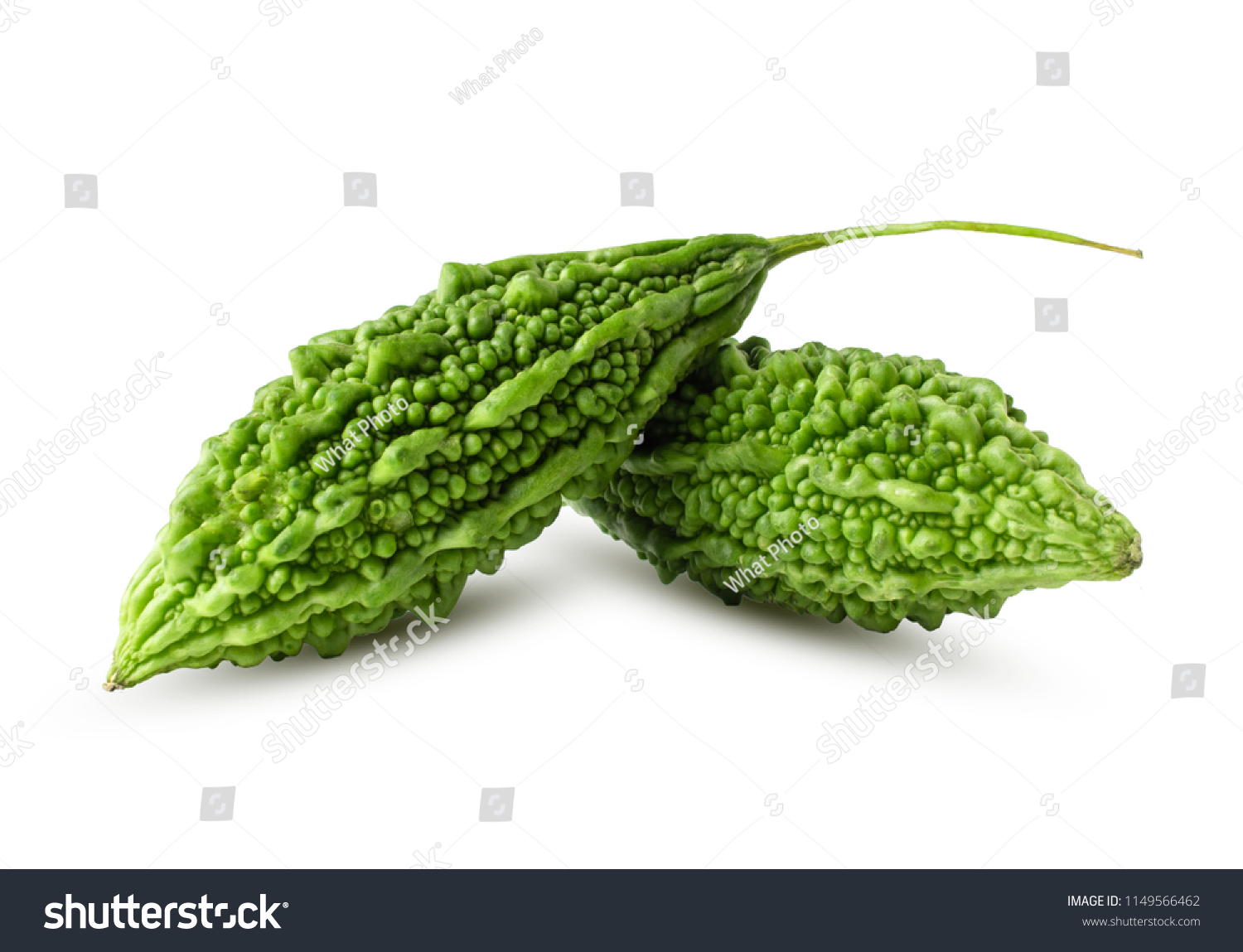 Bitter Melon Bitter Gourd Isolated On Stock Photo 1149566462 | Shutterstock