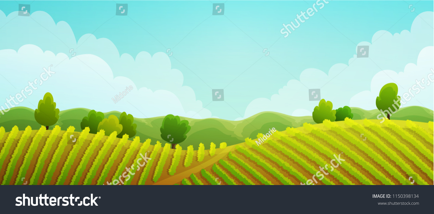 Rural Landscape Vineyard Green Vines On Stock Vector (Royalty Free ...