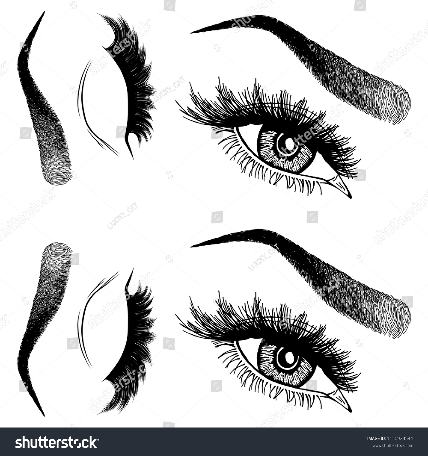 Illustration Womans Eyes Eyelashes Eyebrows Makeup Stock Vector Royalty Free 1150924544 0324