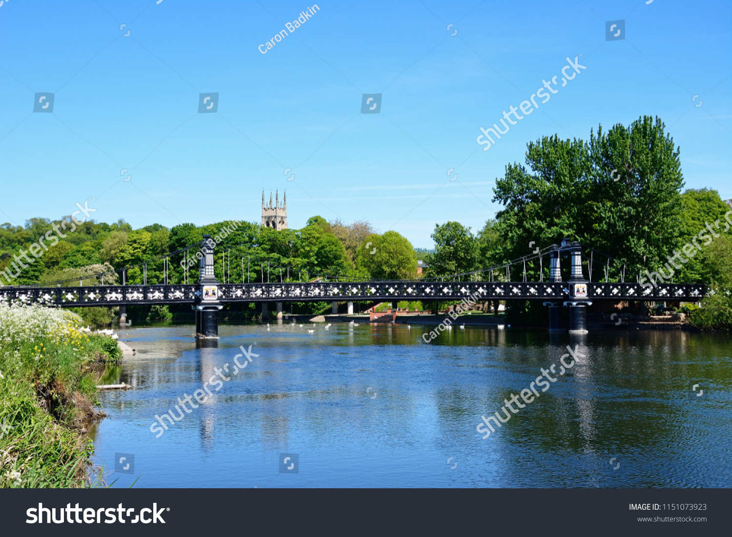 View Ferry Bridge Known Stapenhill Ferry Stock Photo 1151073923 ...