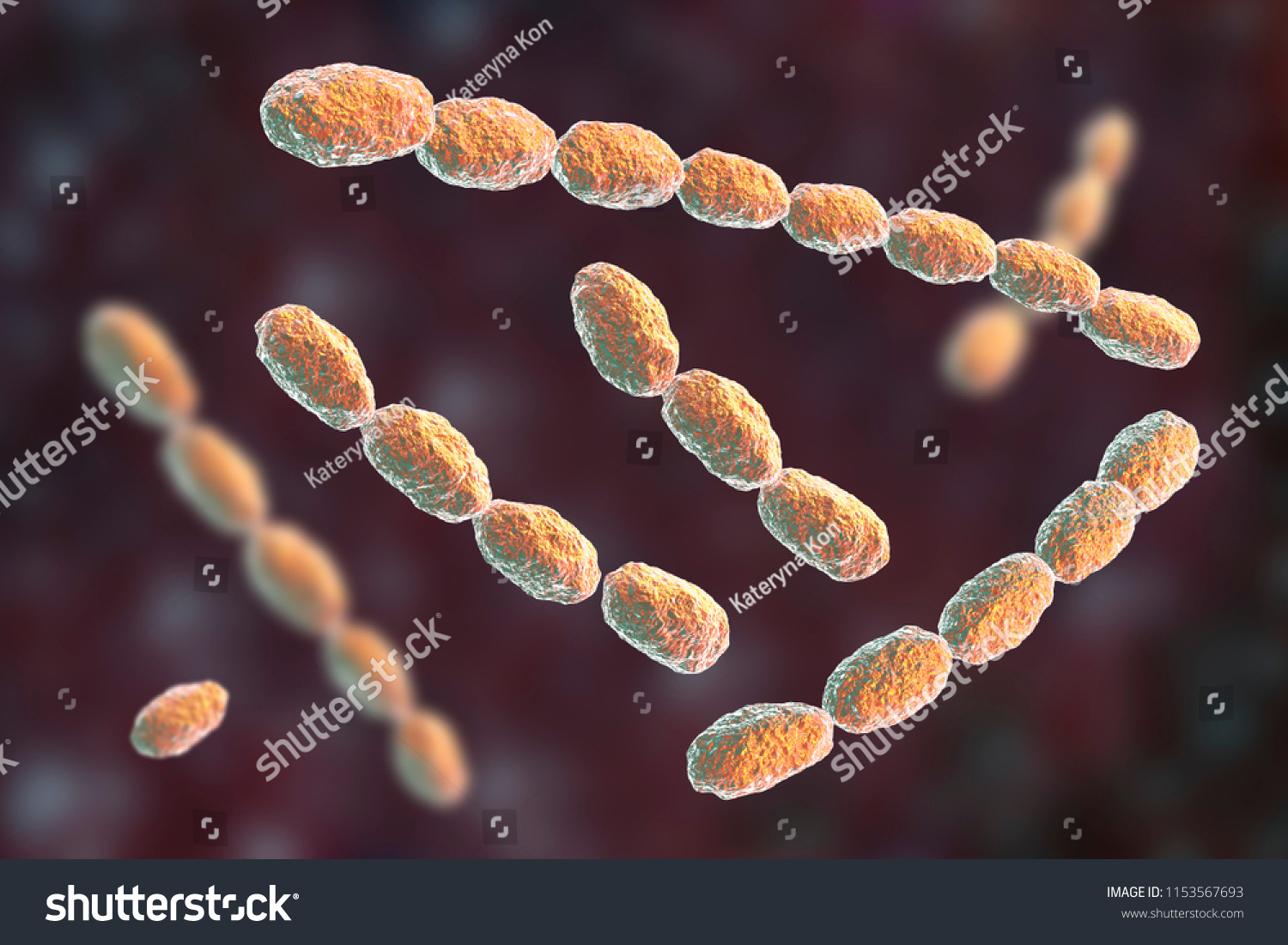 Haemophilus Ducreyi Bacteria 3d Illustration Gramnegative Stock ...