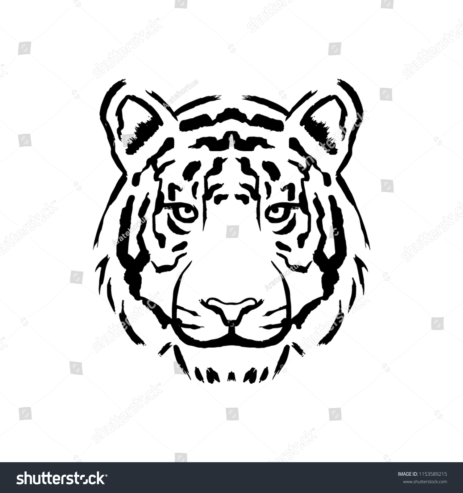 Vector Tiger Illustration Isolated On White Stock Vector (Royalty Free