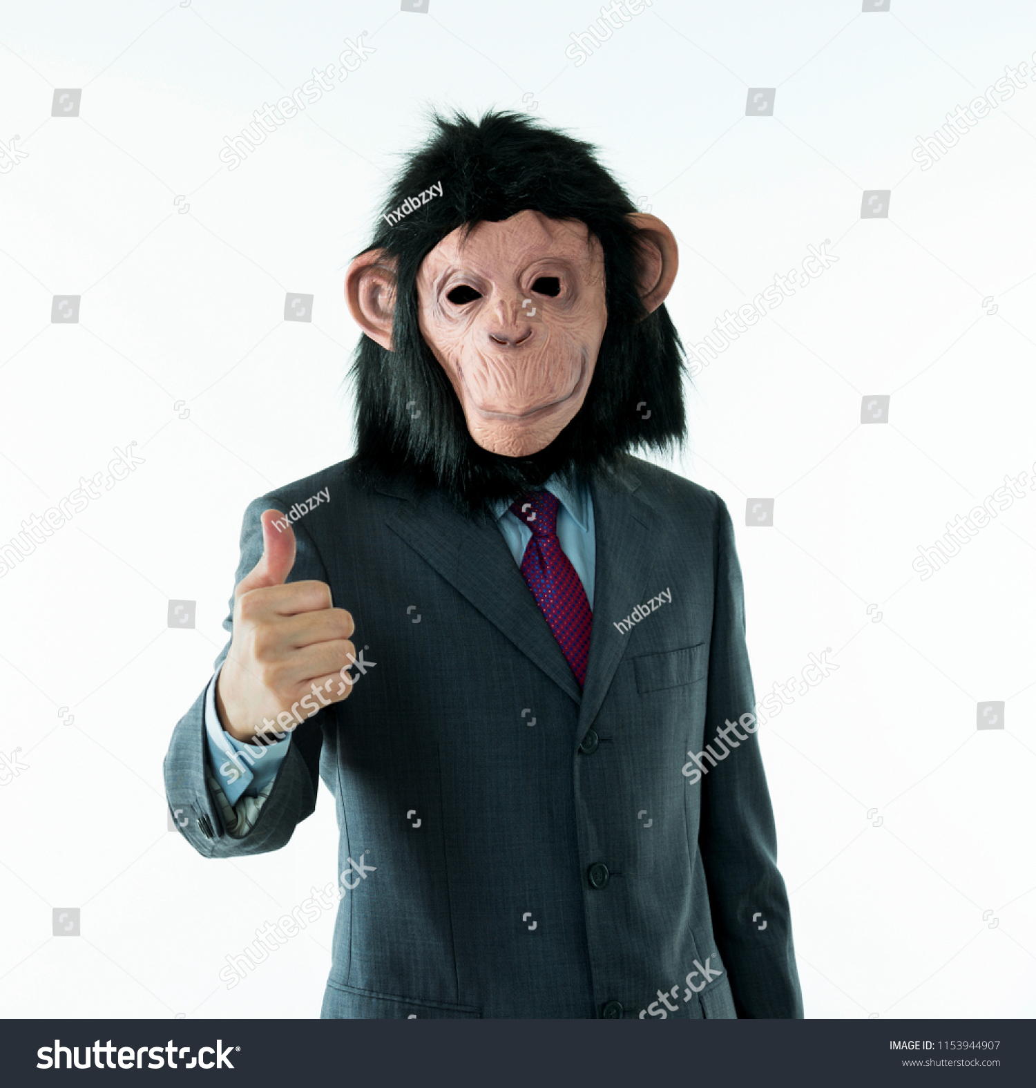 851 Monkey In Suit Stock Photos Images And Photography Shutterstock