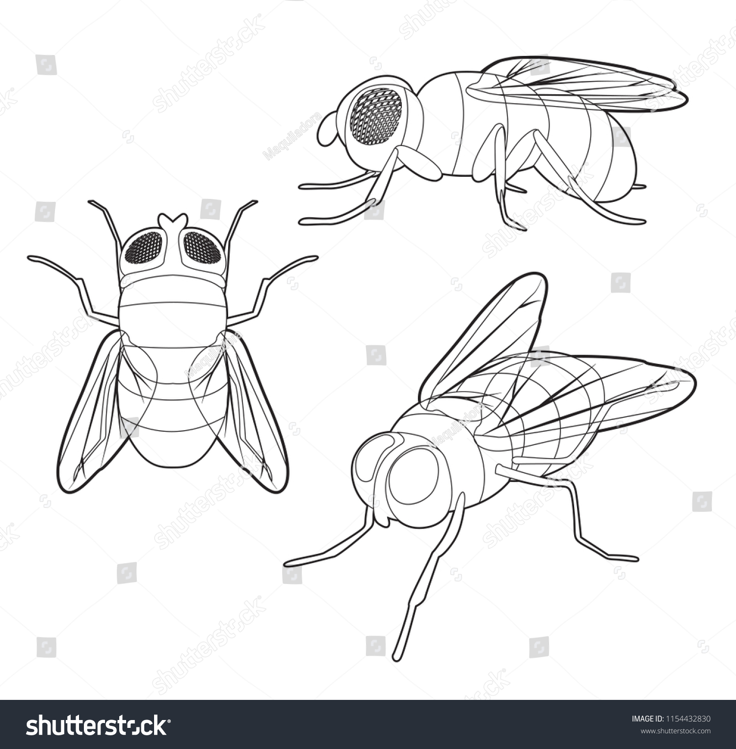 Insect Set Cute Fly Cartoon Vector Stock Vector (Royalty Free ...