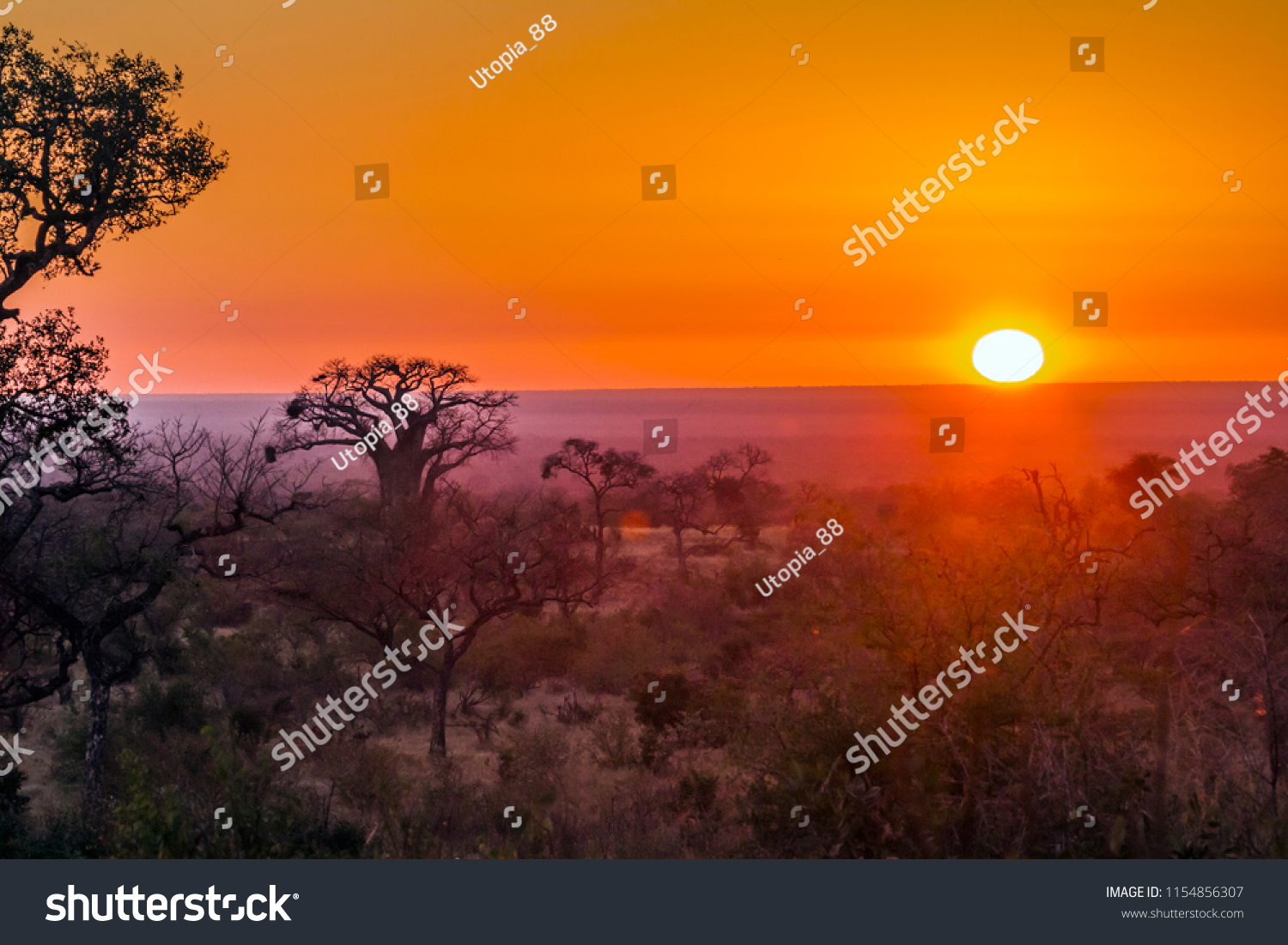 Baobab Tree Sunrise Landscape Kruger National Stock Photo 1154856307 ...