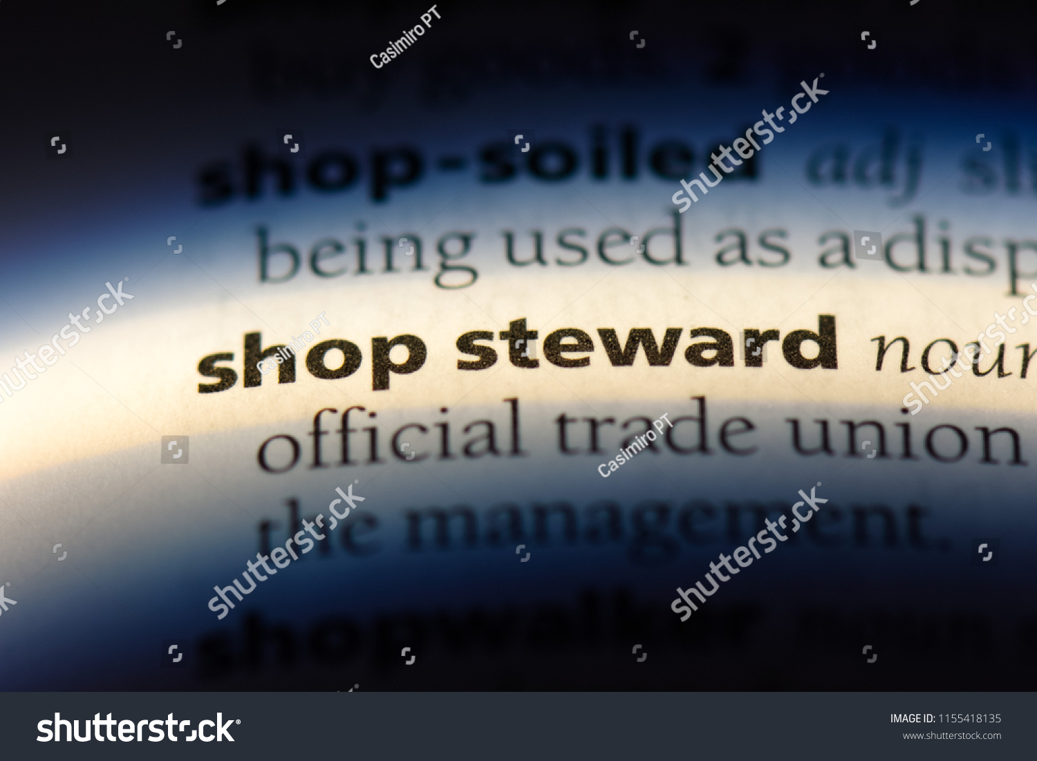 roles-and-responsibilities-of-a-shop-steward-storyboard