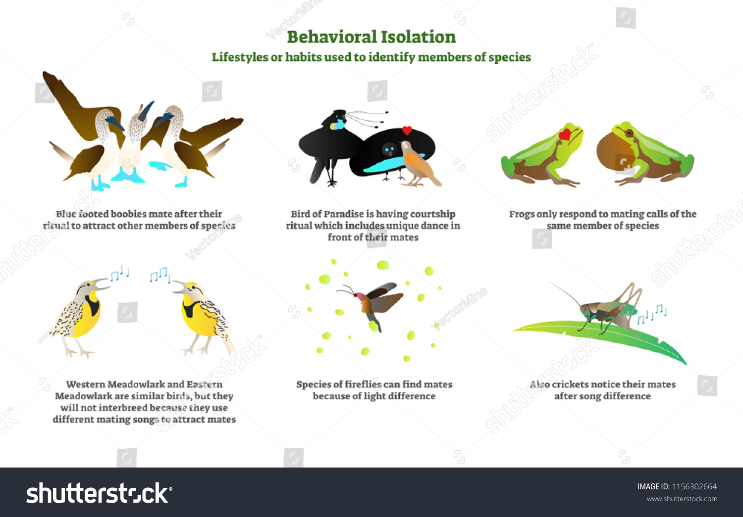 behavioral-isolation-vector-illustration-collection-set