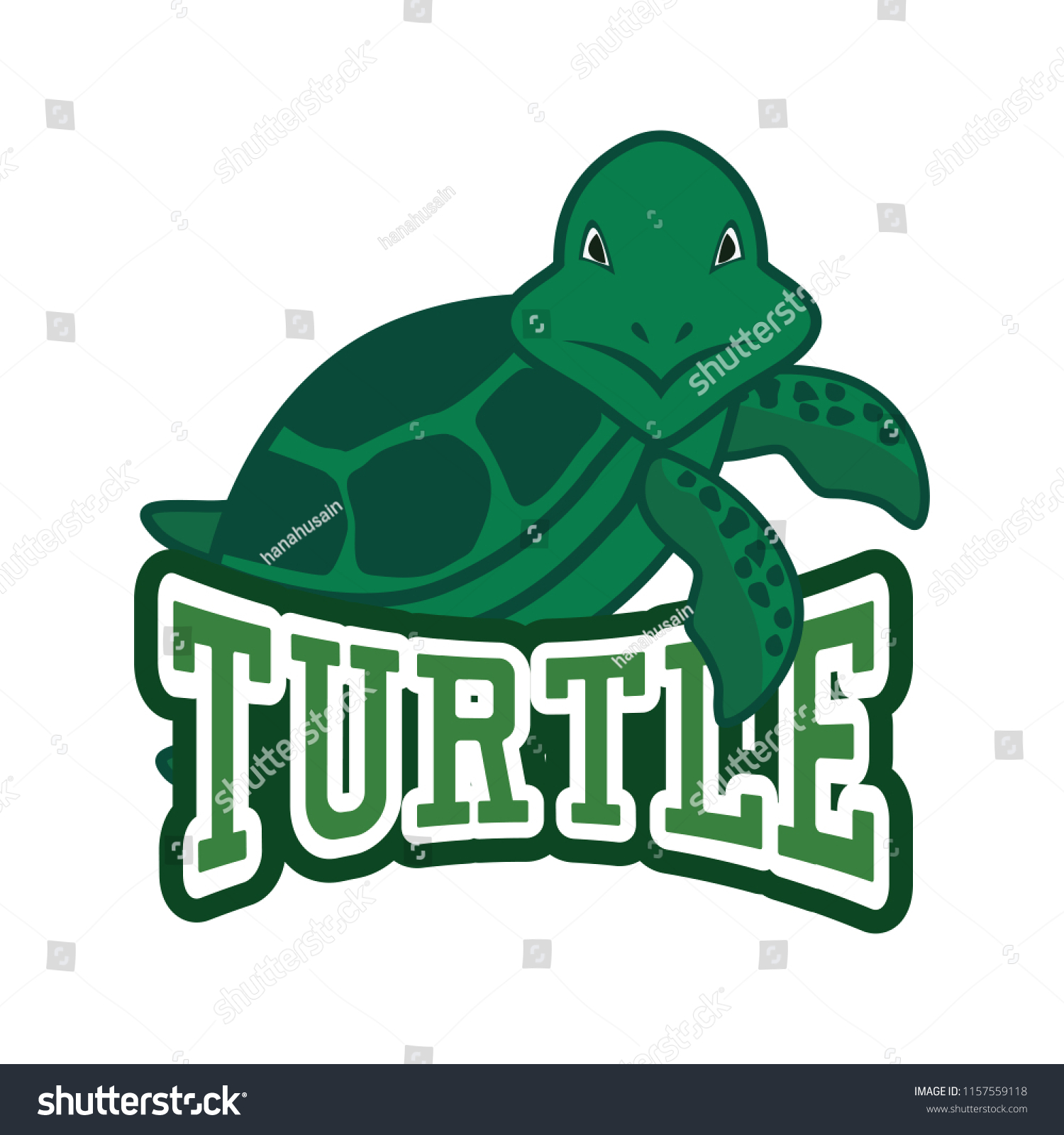 Green Turtle Logo Isolated On White Stock Vector (Royalty Free ...