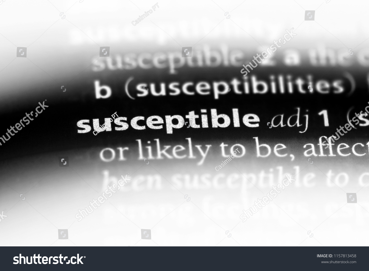 susceptible-word-dictionary-susceptible-concept-stock-photo-1155401881