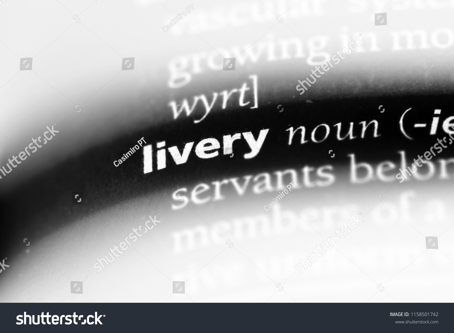 livery-word-dictionary-livery-concept-stock-photo-1158501742-shutterstock