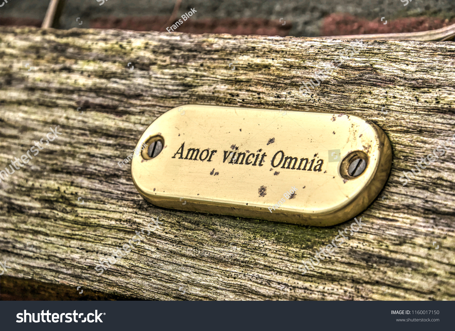 15 <b>Amor</b> <b>vincit</b> <b>omnia</b> Snímků, stock fotografií a vektorů Shutterstock.