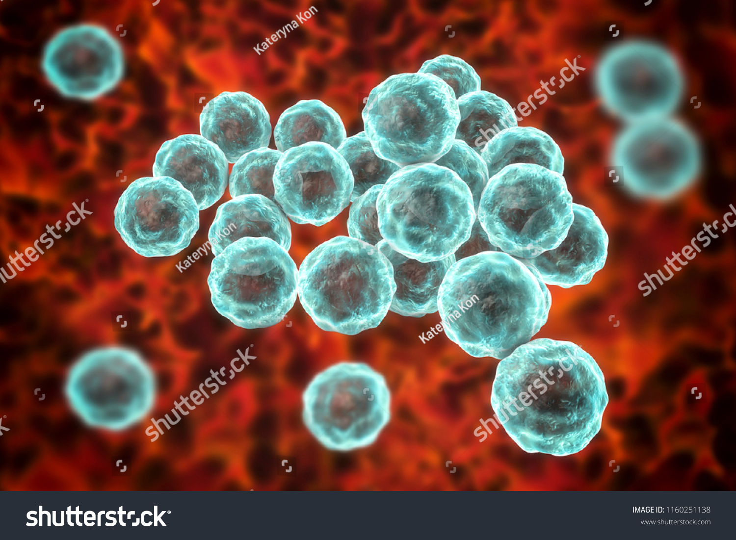 Chlamydia Trachomatis Bacteria 3d Illustration Causative Stock Illustration 1160251138 2423