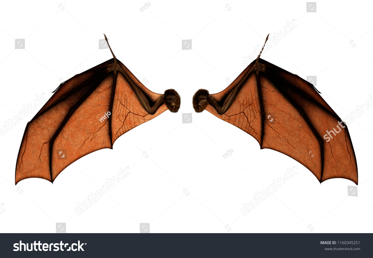 N with bat Wings site