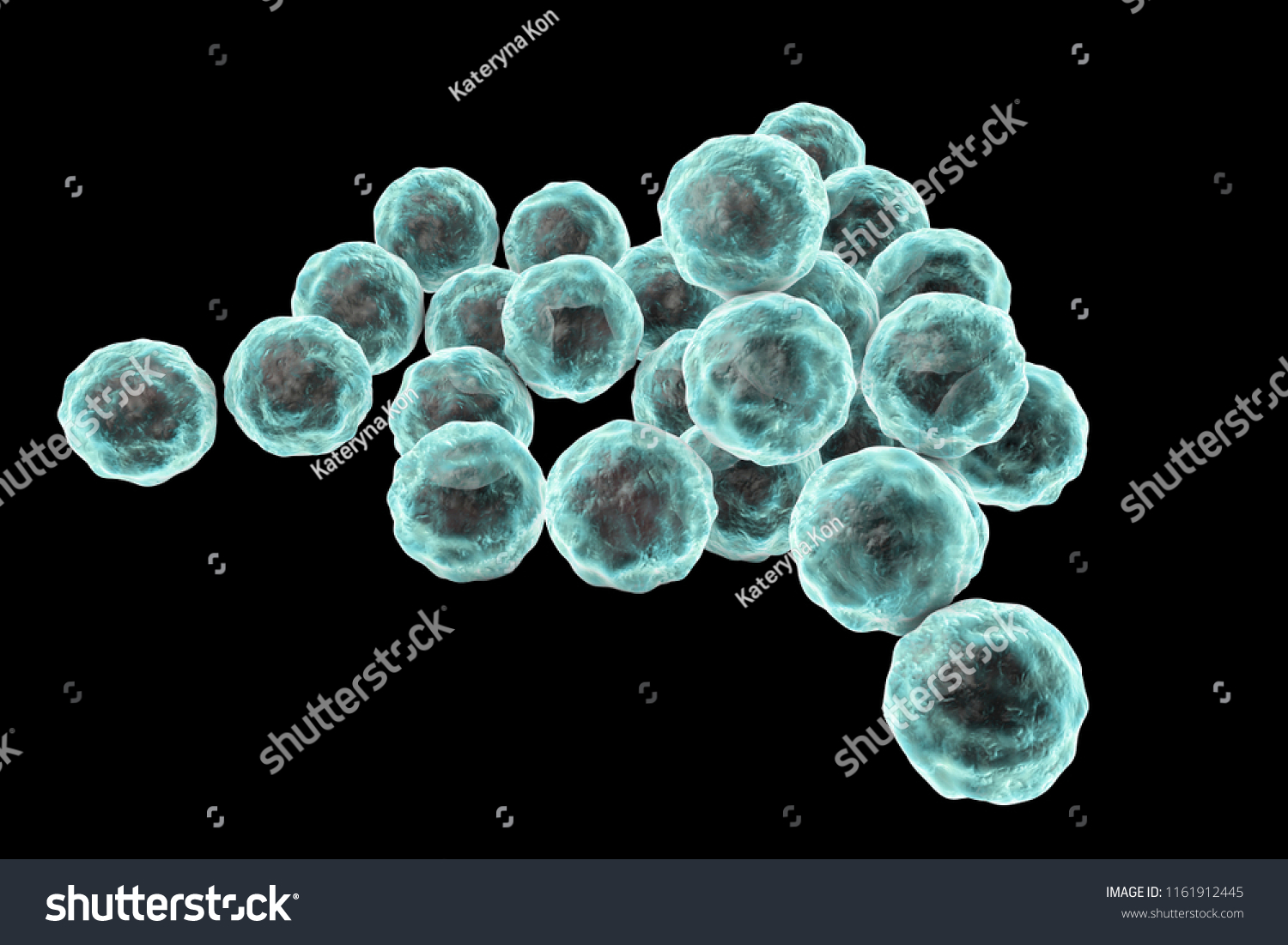 Chlamydia Trachomatis Bacteria 3d Illustration Causative Stock Illustration 1161912445 3179
