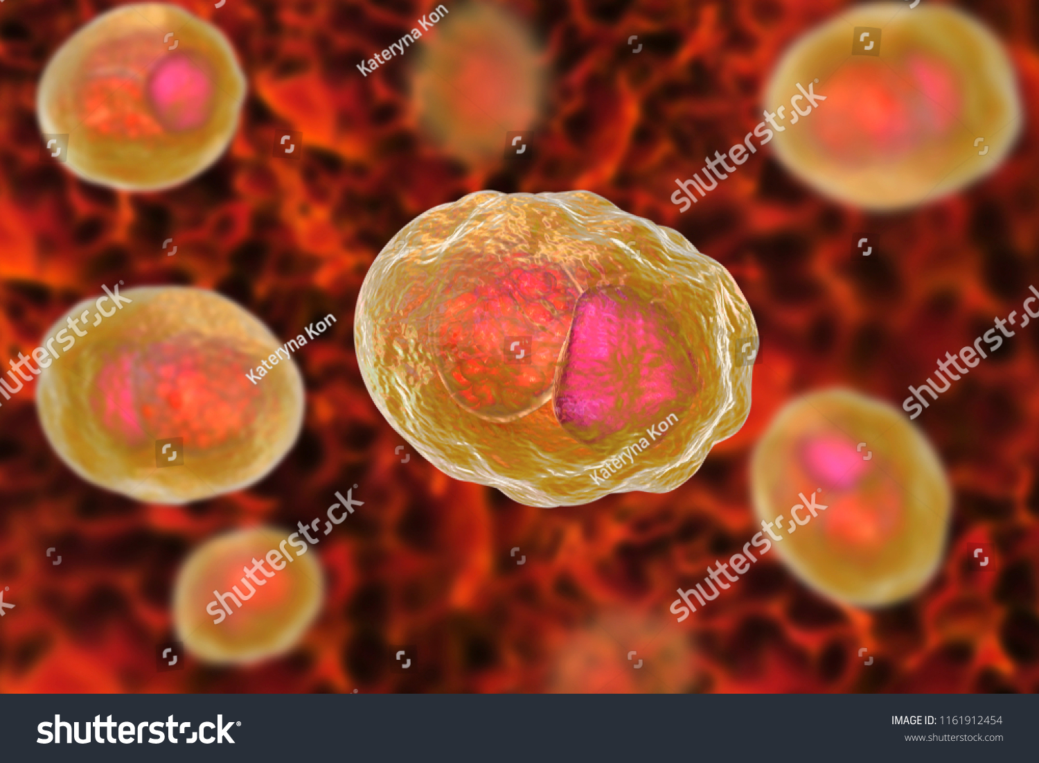 Chlamydia Trachomatis Bacteria 3d Illustration Showing Stock Illustration 1161912454 Shutterstock 4706