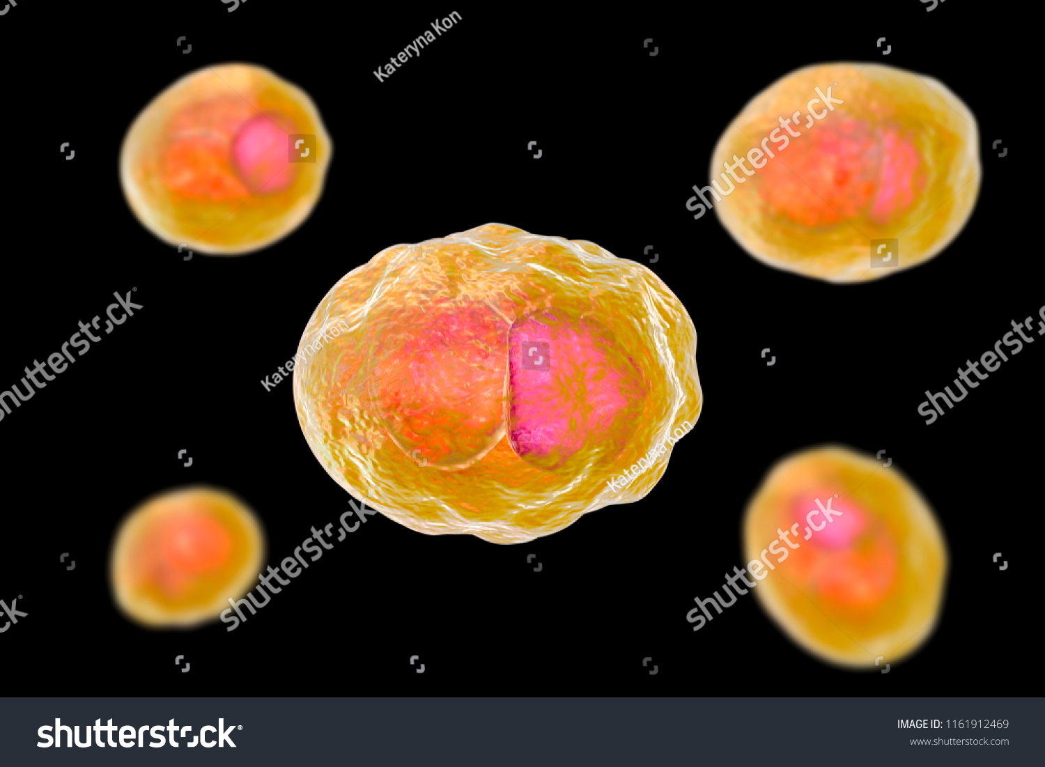 Chlamydia Trachomatis Bacteria 3d Illustration Showing Stock Illustration 1161912469 Shutterstock 4947