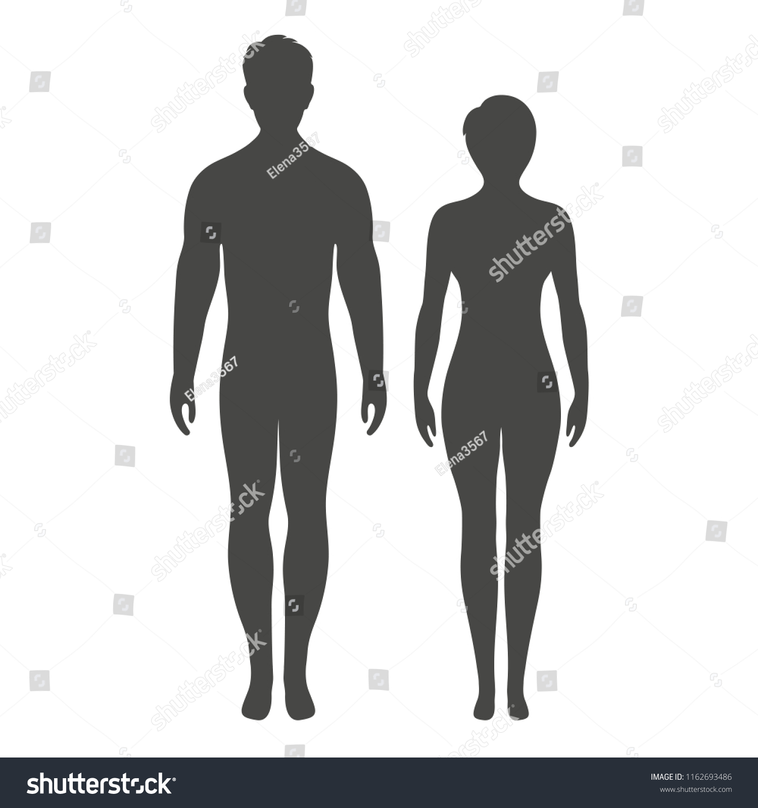 Male Female Silhouettes On White Background Stock Vector (Royalty Free ...