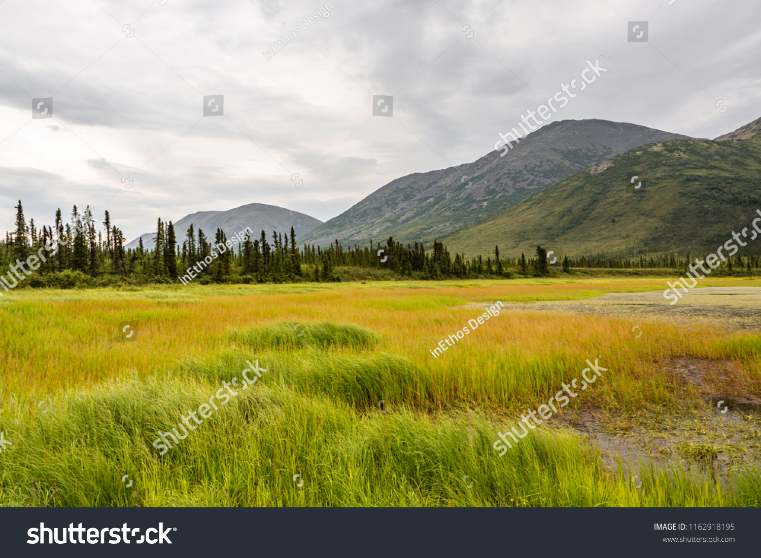 2 Ritchie highway Images, Stock Photos & Vectors | Shutterstock