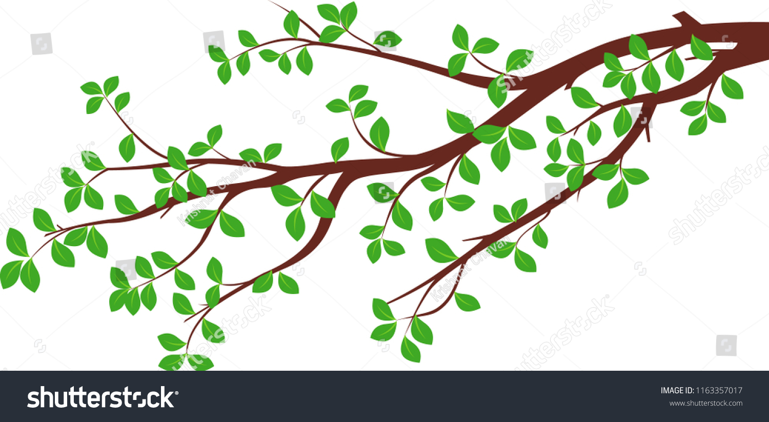 Tree Branch Vector Tree Branch Illustration Stock Vector (Royalty Free ...