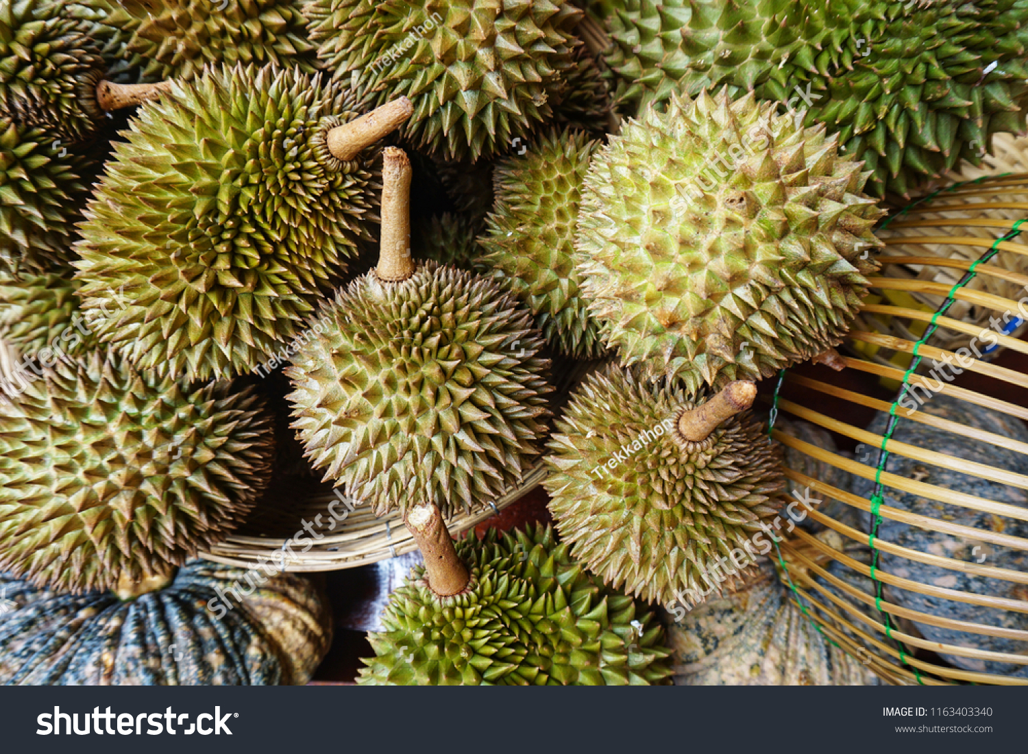 Large fruits with hard skin