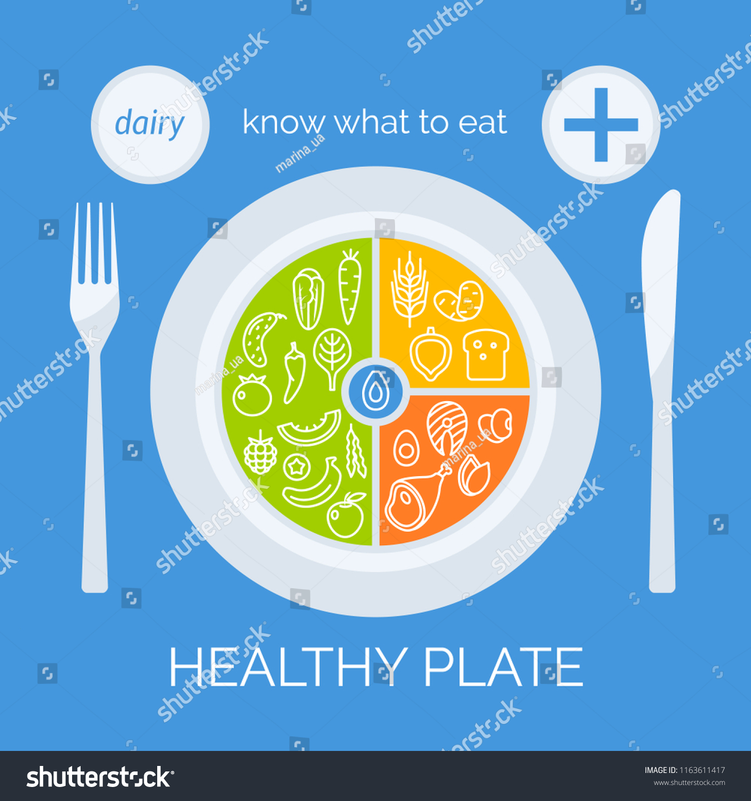 Healthy Plate Concept Vector Illustration Balanced Stock Vector ...