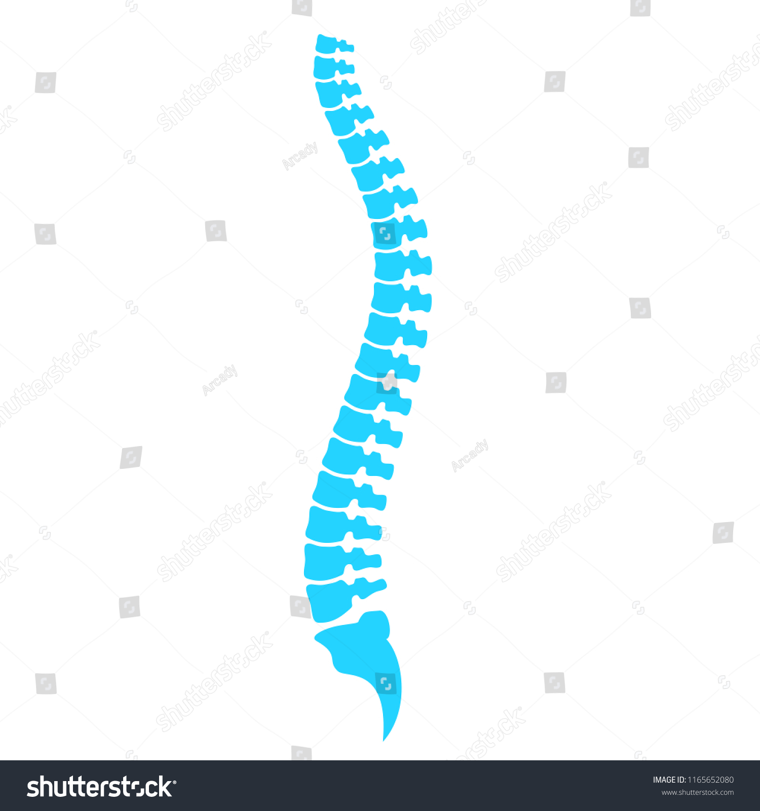 Spine Column Vector Icon Illustration Isolated Stock Vector (royalty 