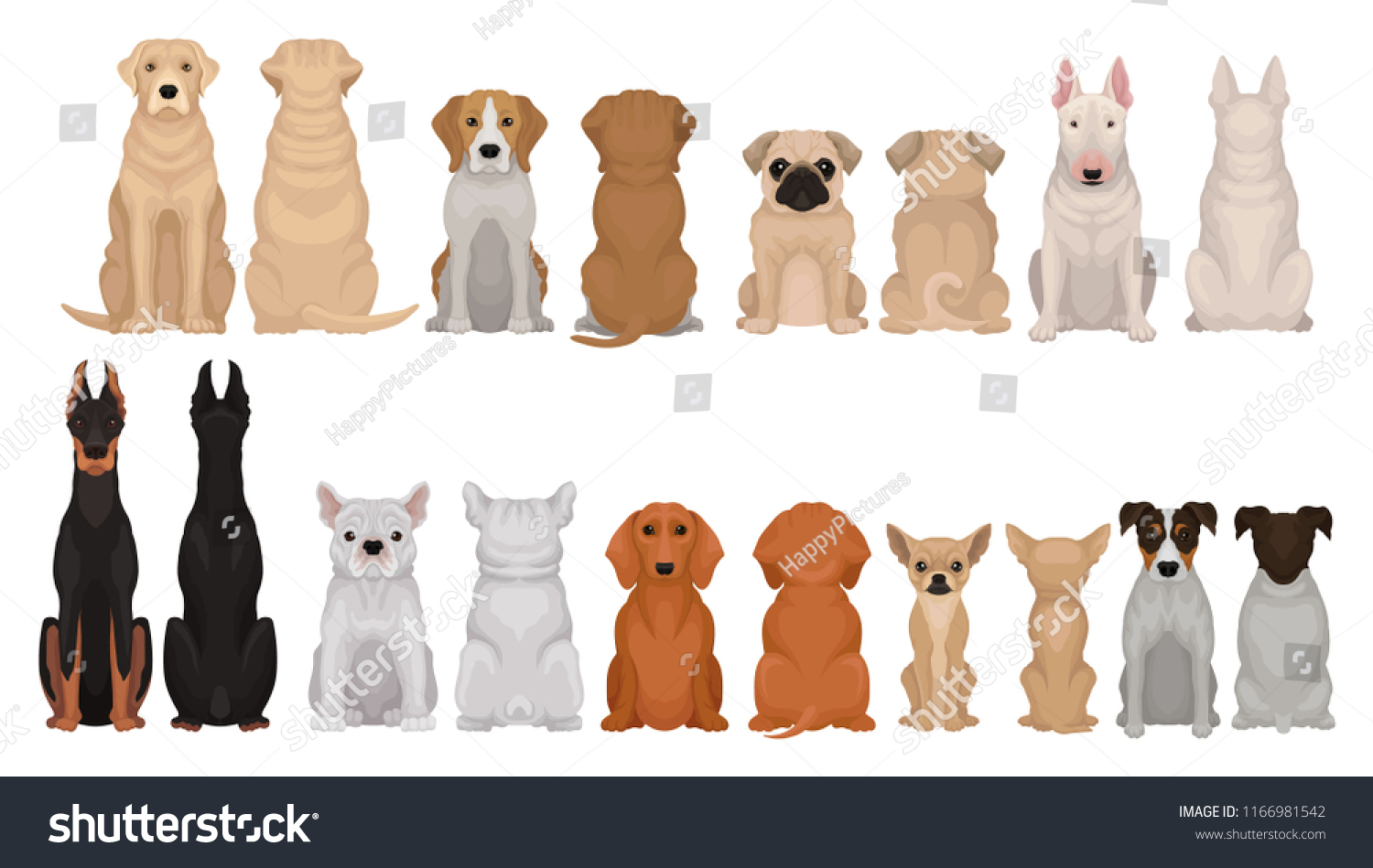 Set Dogs Different Breeds Front Back Stock Vector (Royalty Free ...