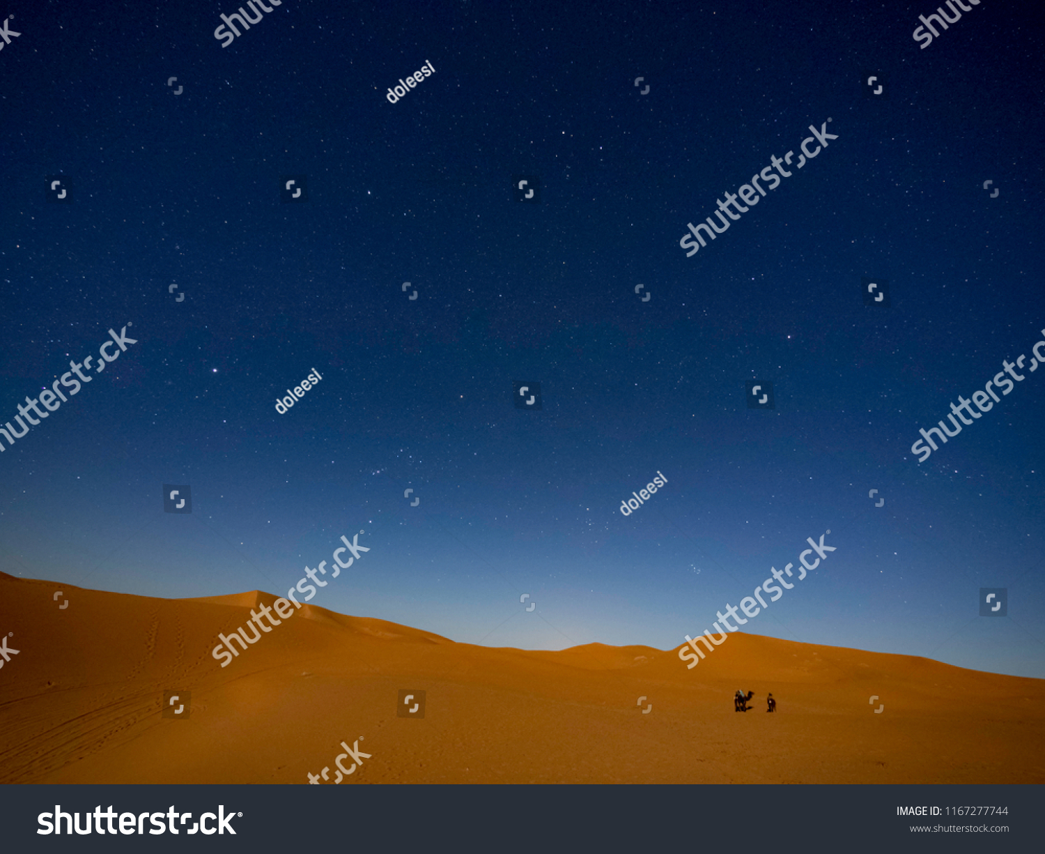 Starry Night Sahara Desert Stock Photo 1167277744 | Shutterstock