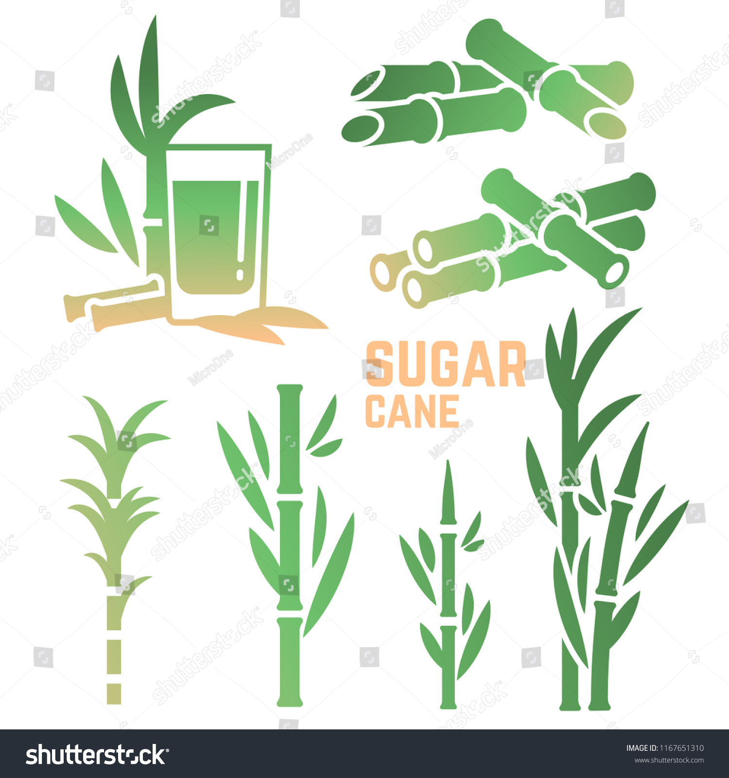 Sugar Cane Silhouettes Icons Collection Isolated Stock Vector (Royalty ...