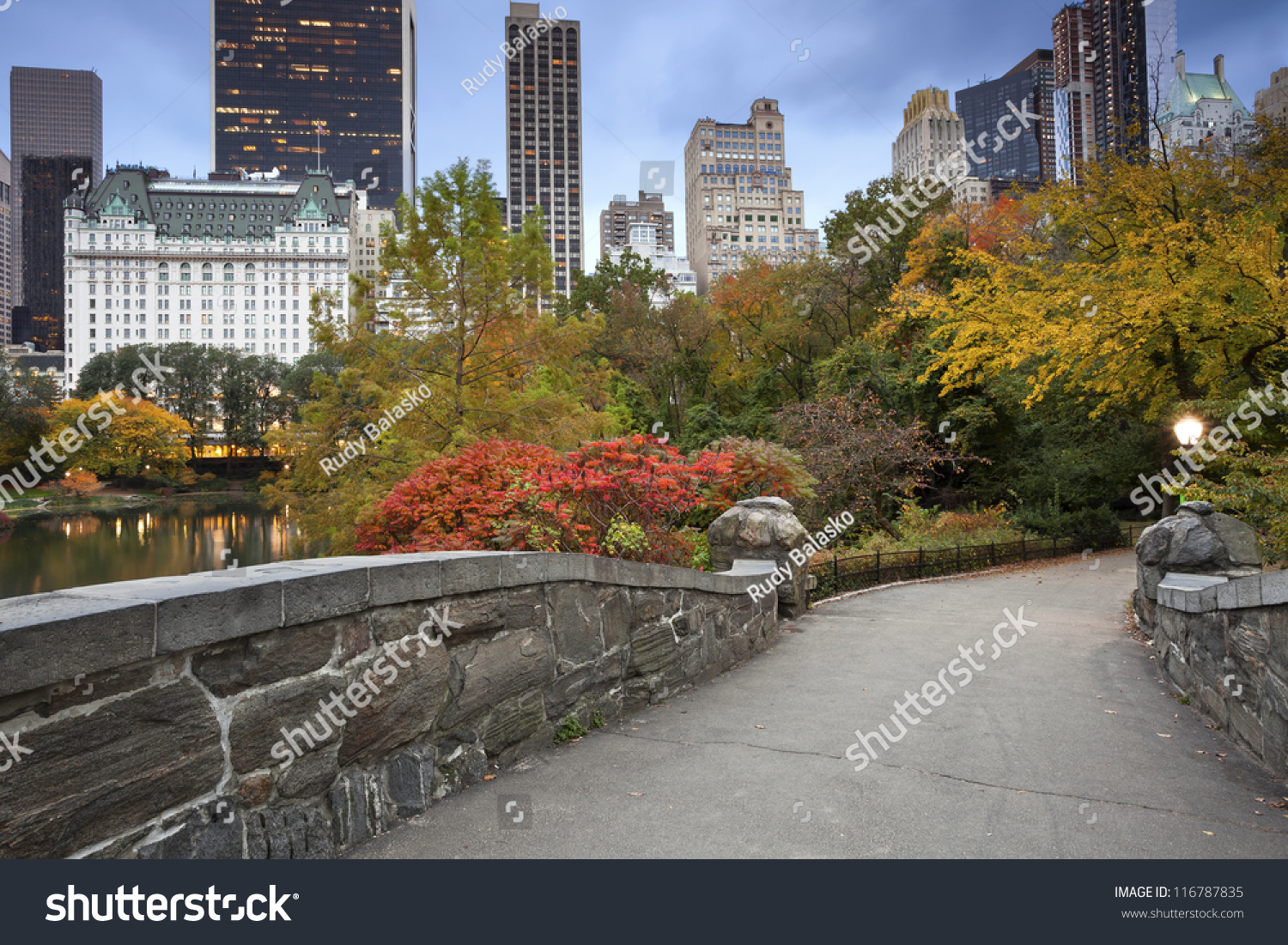 Central Park Manhattan Skyline Image Central Stock Photo 116787835 ...