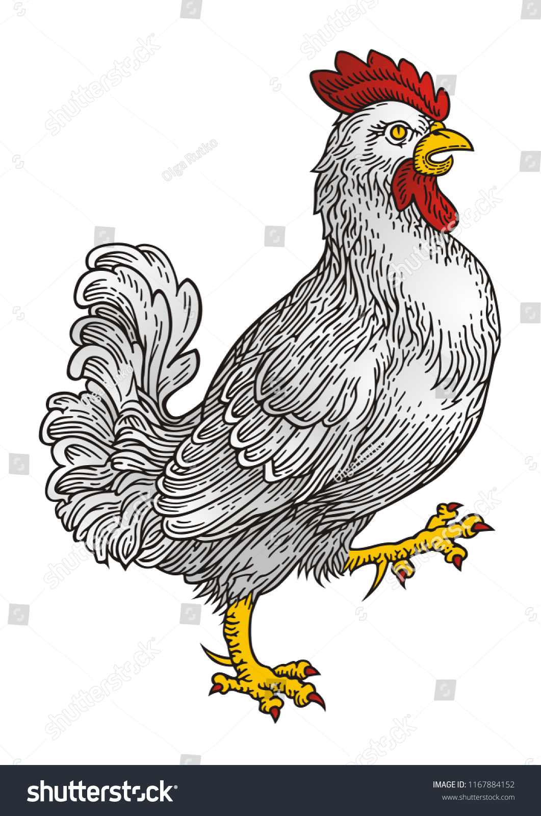 Cock Vector Stock Vector Royalty Free 1167884152 Shutterstock 