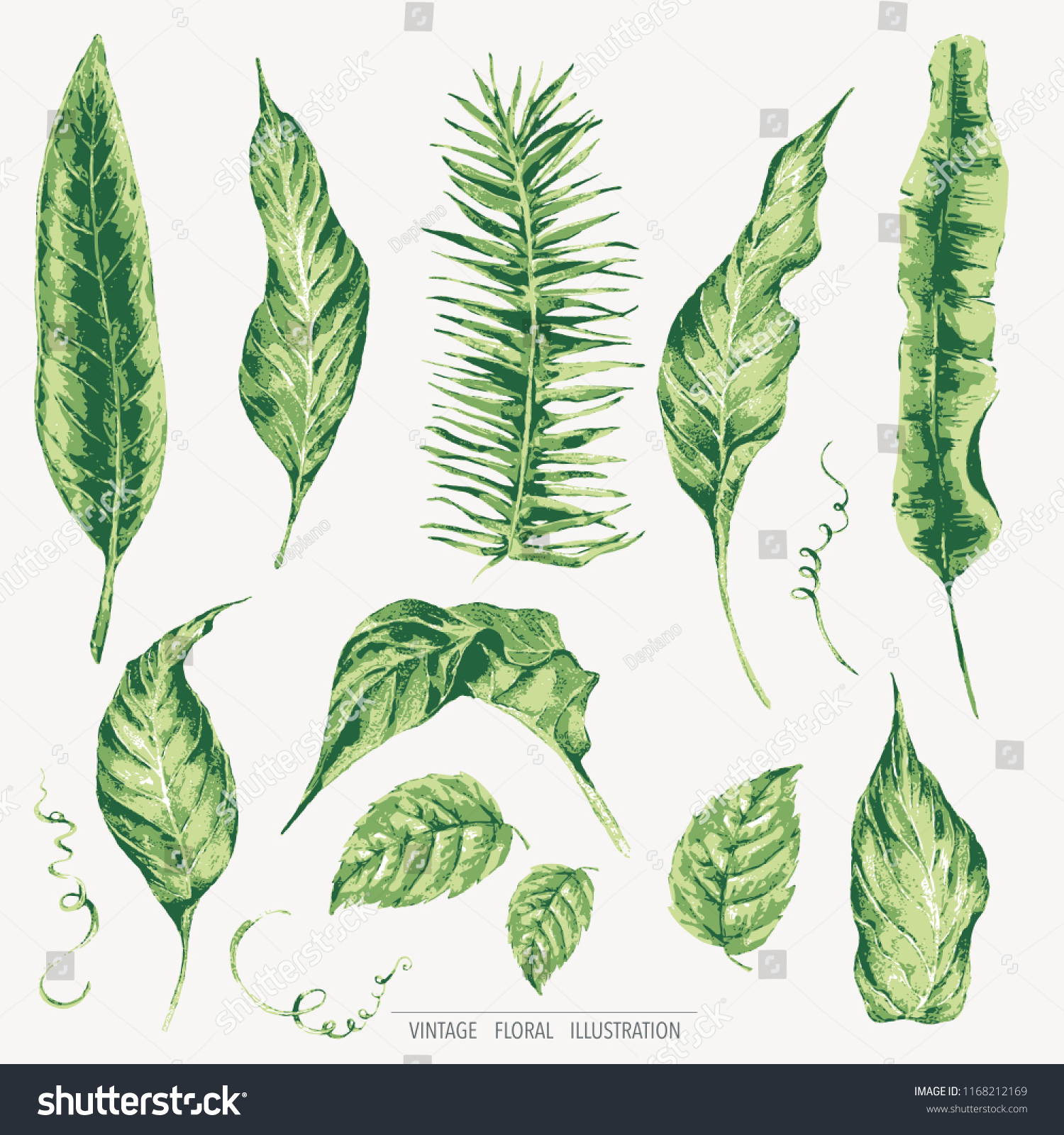 Vector Set Green Tropical Leaves Botanical Stock Vector (Royalty Free ...