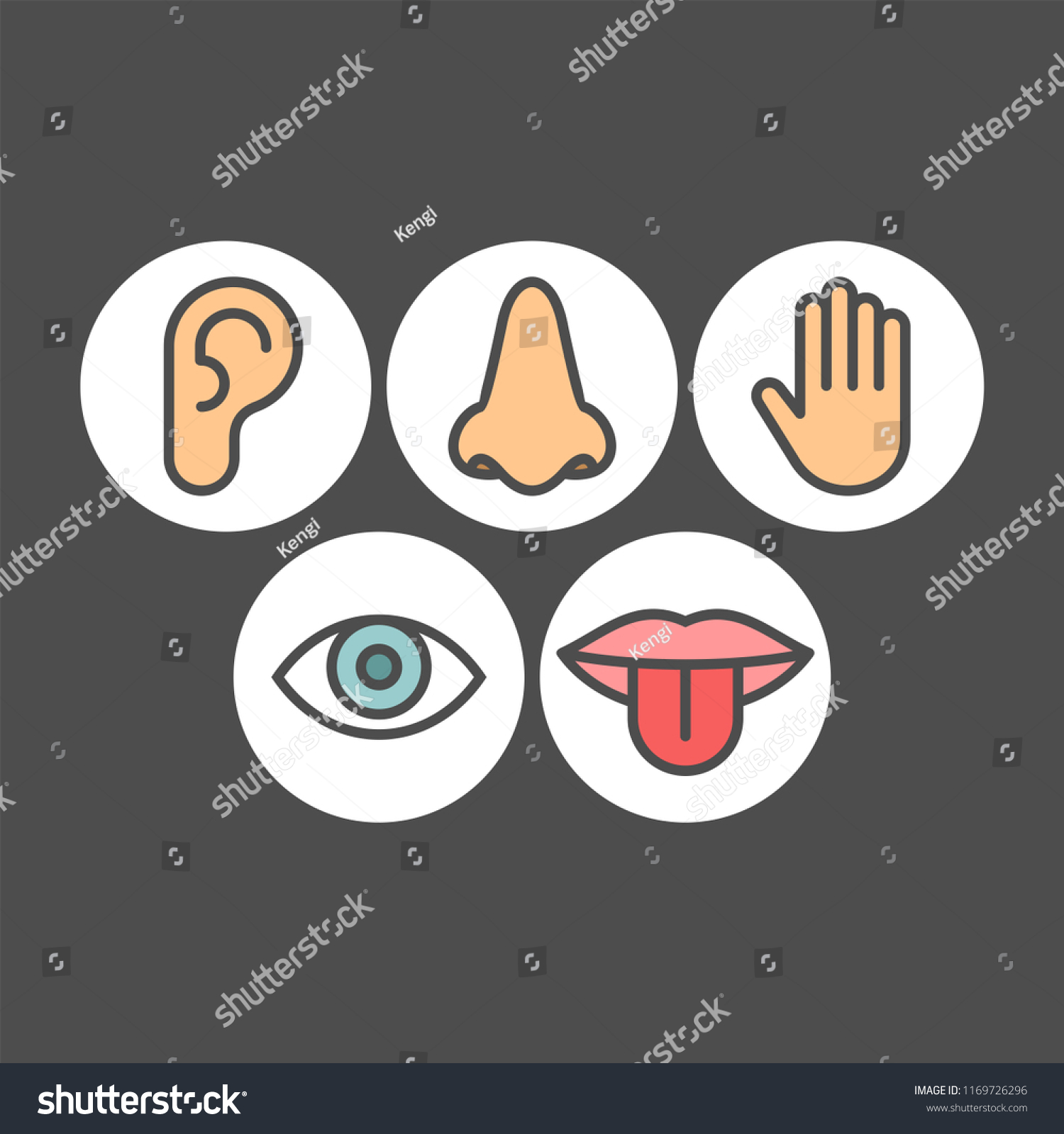 Sense Organs Flat Vector Icons Stock Vector (Royalty Free) 1169726296 ...