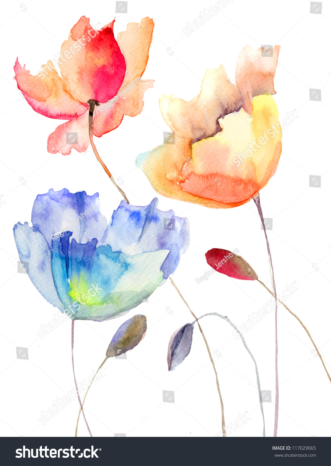 美しい夏の花 水彩イラスト のイラスト素材 Shutterstock 美しい夏の花 水彩イラスト のイラスト素材 Shutterstock