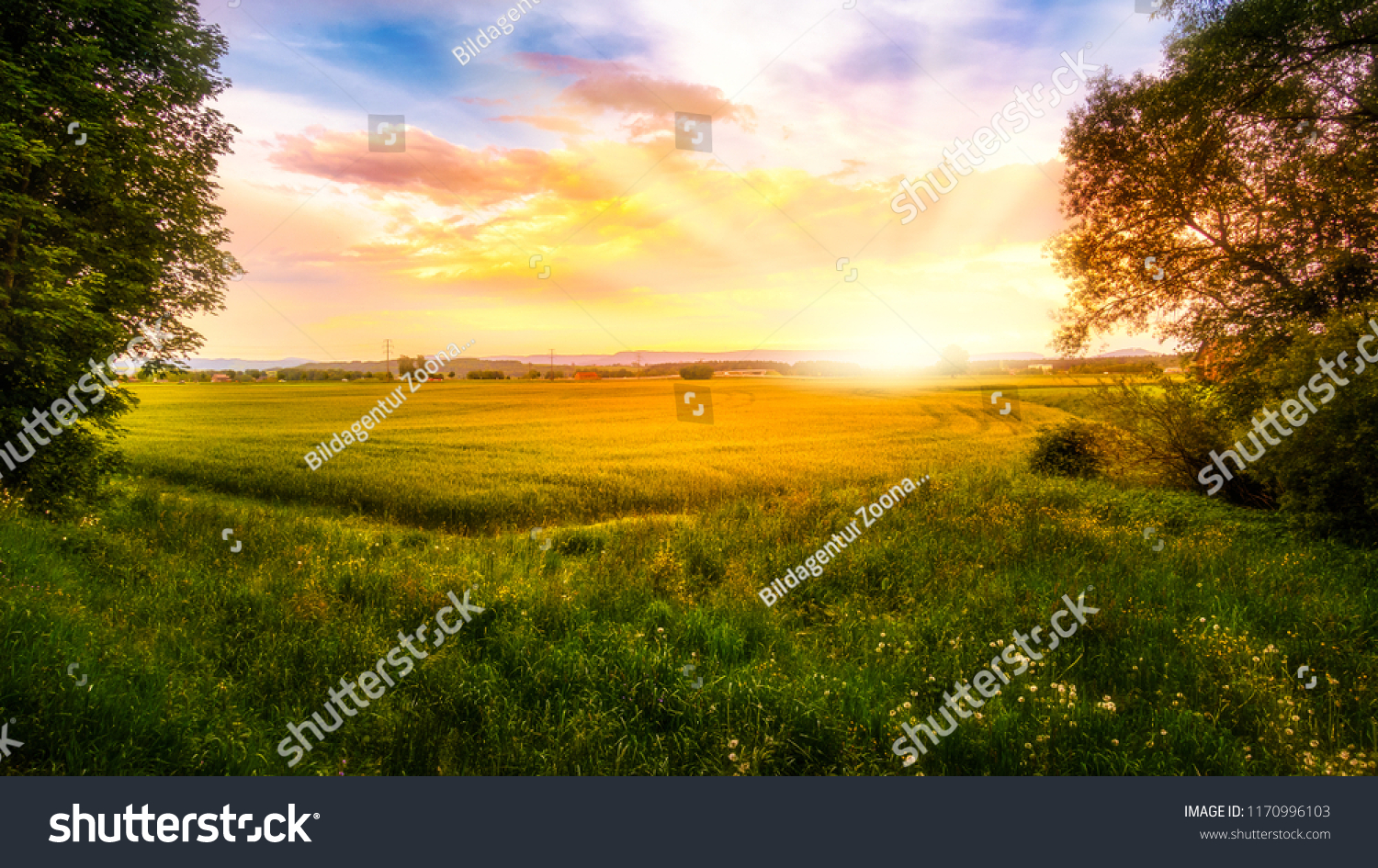 Sunrise Over Cornfield Stock Photo 1170996103 