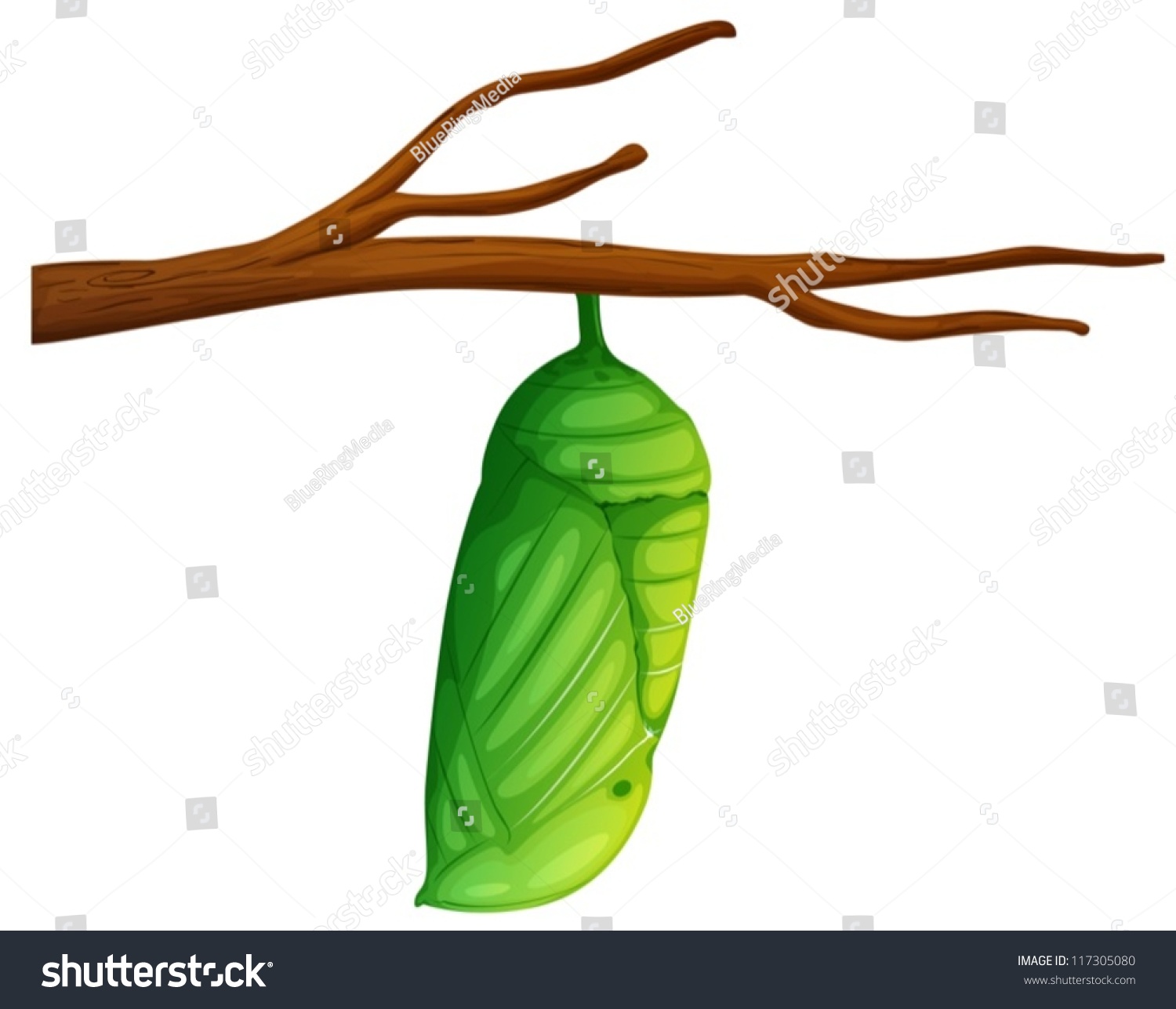 Illustration Danaus Plexippus On White Background Stock Vector (Royalty ...