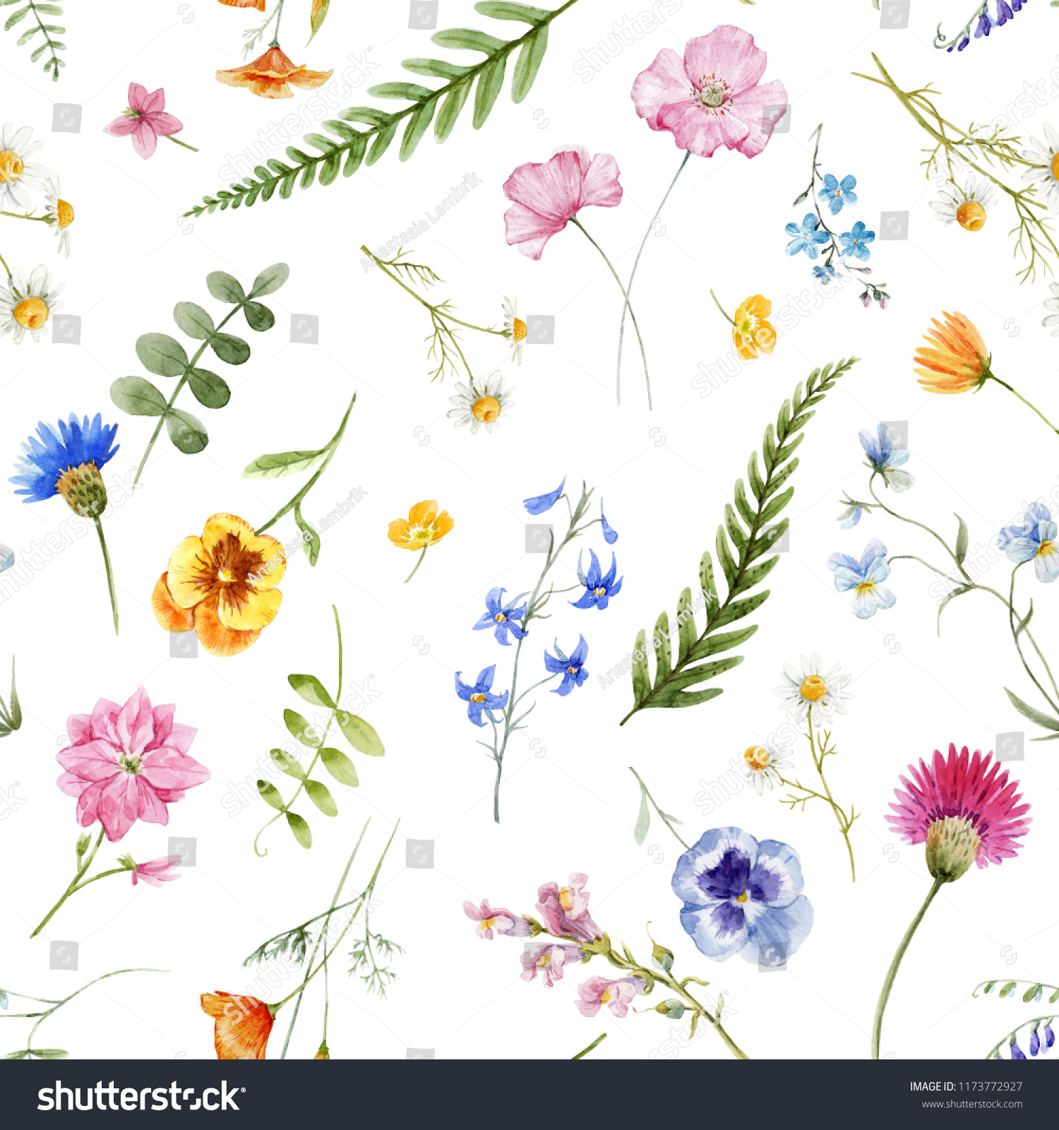 Полевые цветы акварелью на белом фоне