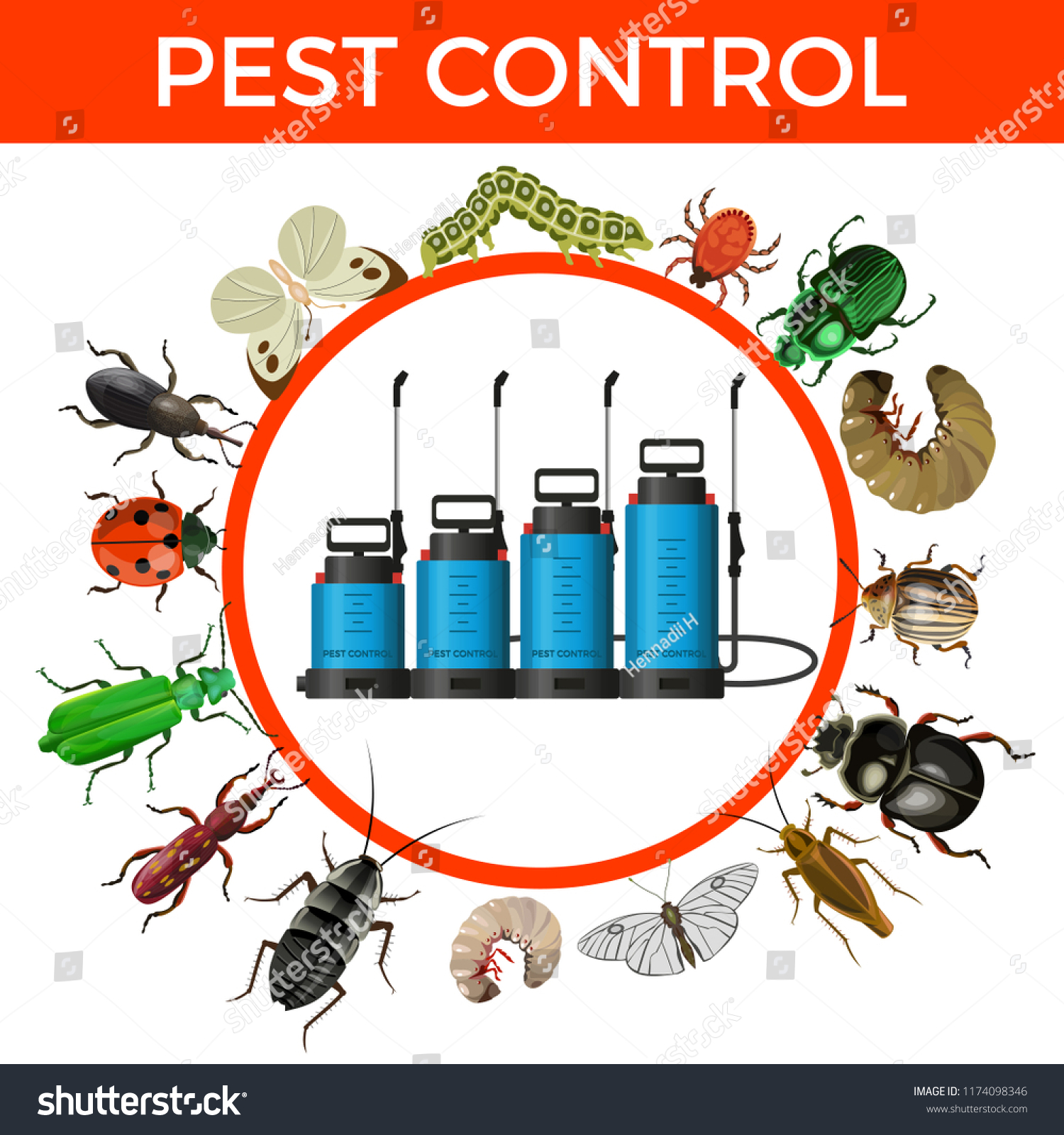 Ant Control And Prevention In Denver